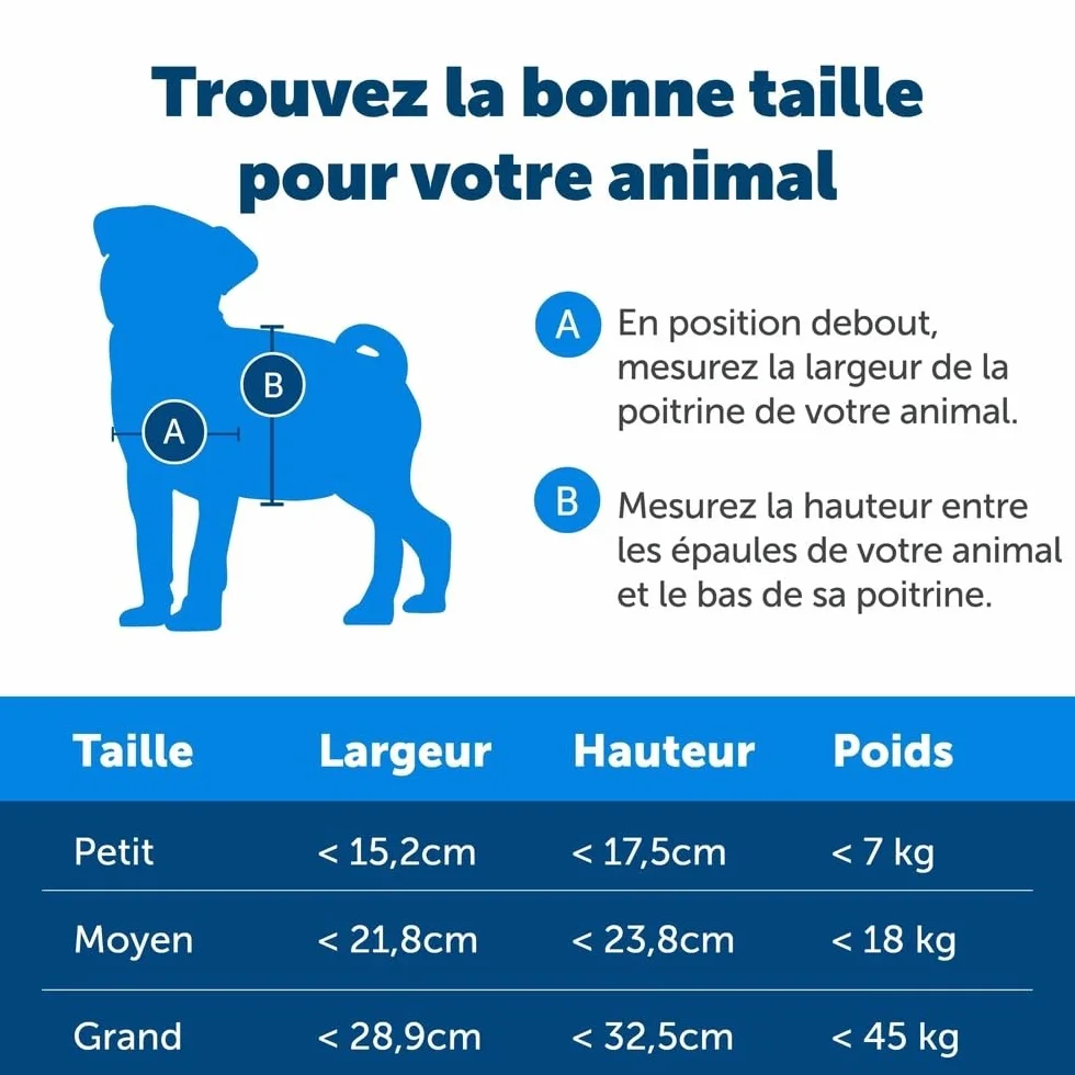 PetSafe Porte pour Animaux de Compagnie 2 Options de Fermeture Chatière Grand Blanc