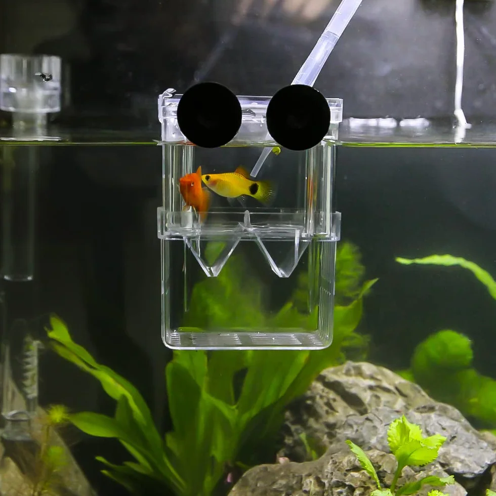 SENZEAL Boîte d'élevage de poisson flottante avec pipettes pour aquarium