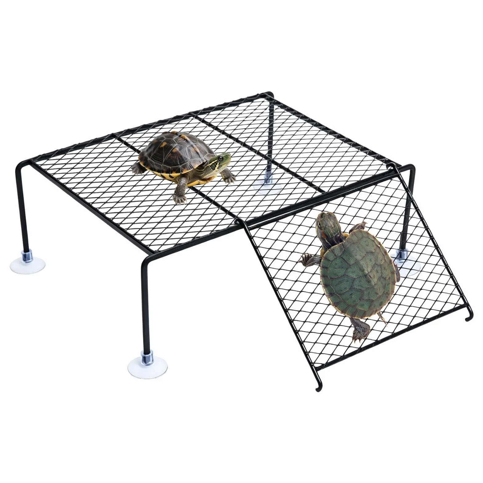 Plateforme solaire pour tortues d'eau - Île de repos avec rampe à ventouse, aquarium
