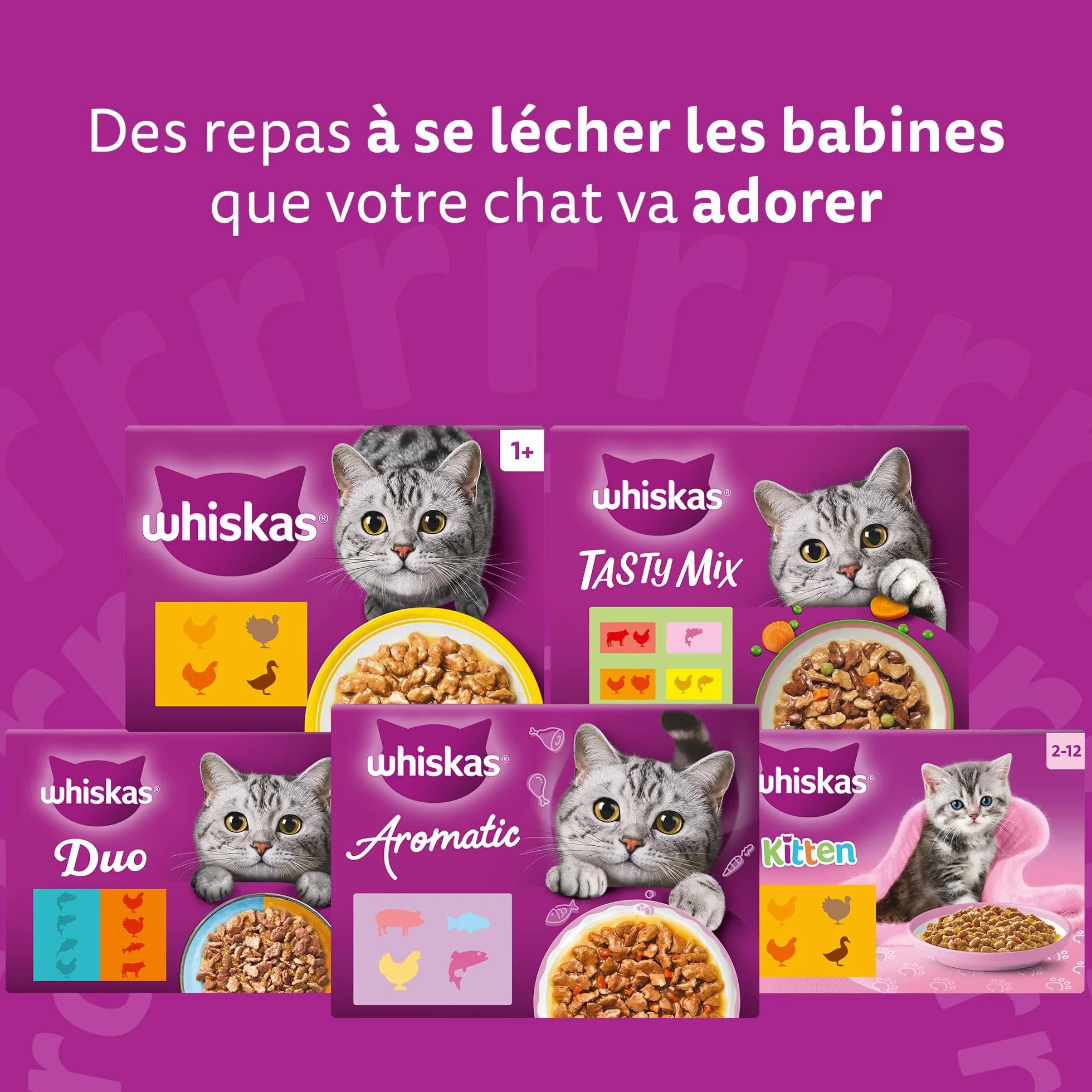 WHISKAS Repas 48 Sachets Fraîcheur La Carte Mixte Pâtée pour Chat Adulte en Gelée Nourriture Humide Complète