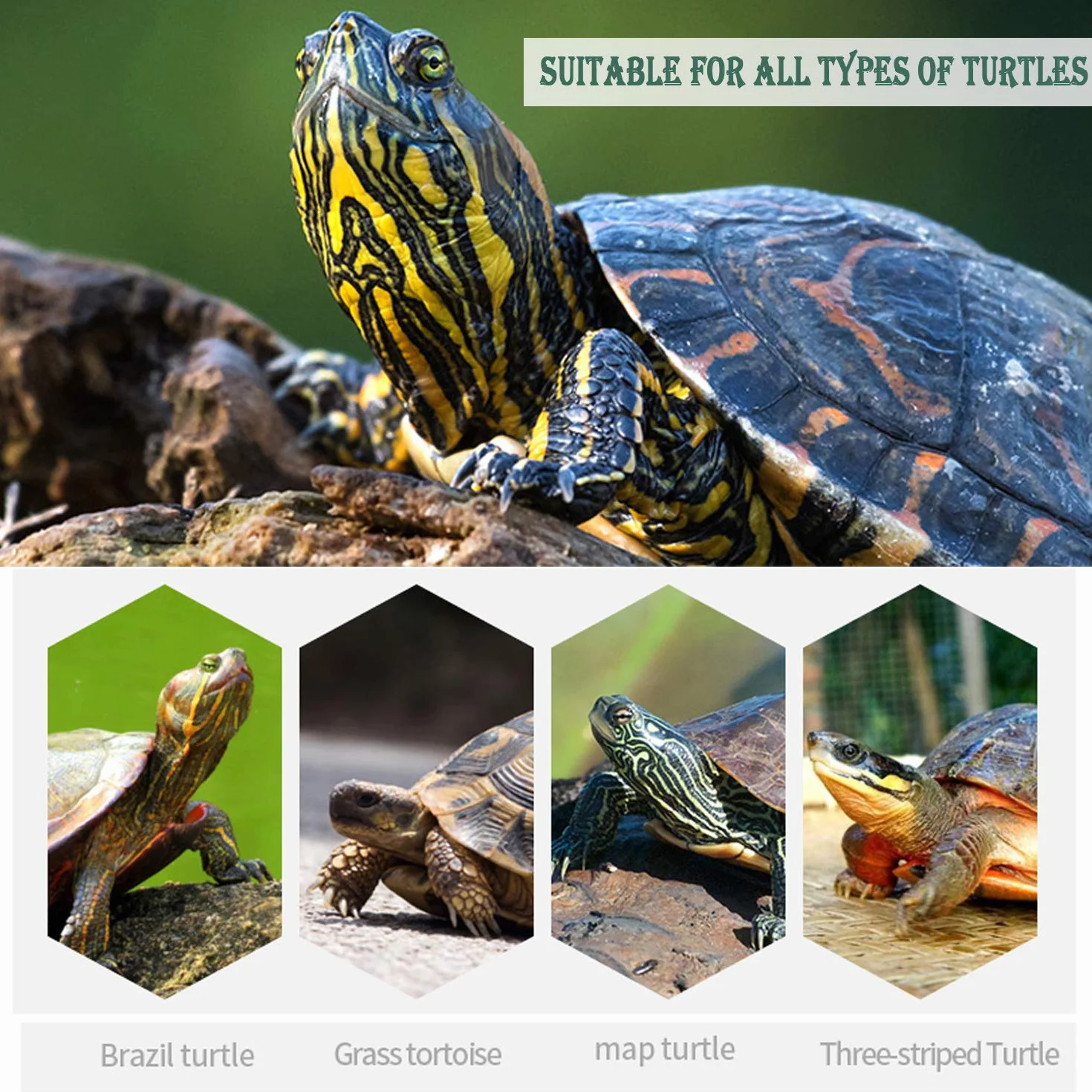 Nourriture pour tortues en sticks Turtle Terrapin Food 750 ml