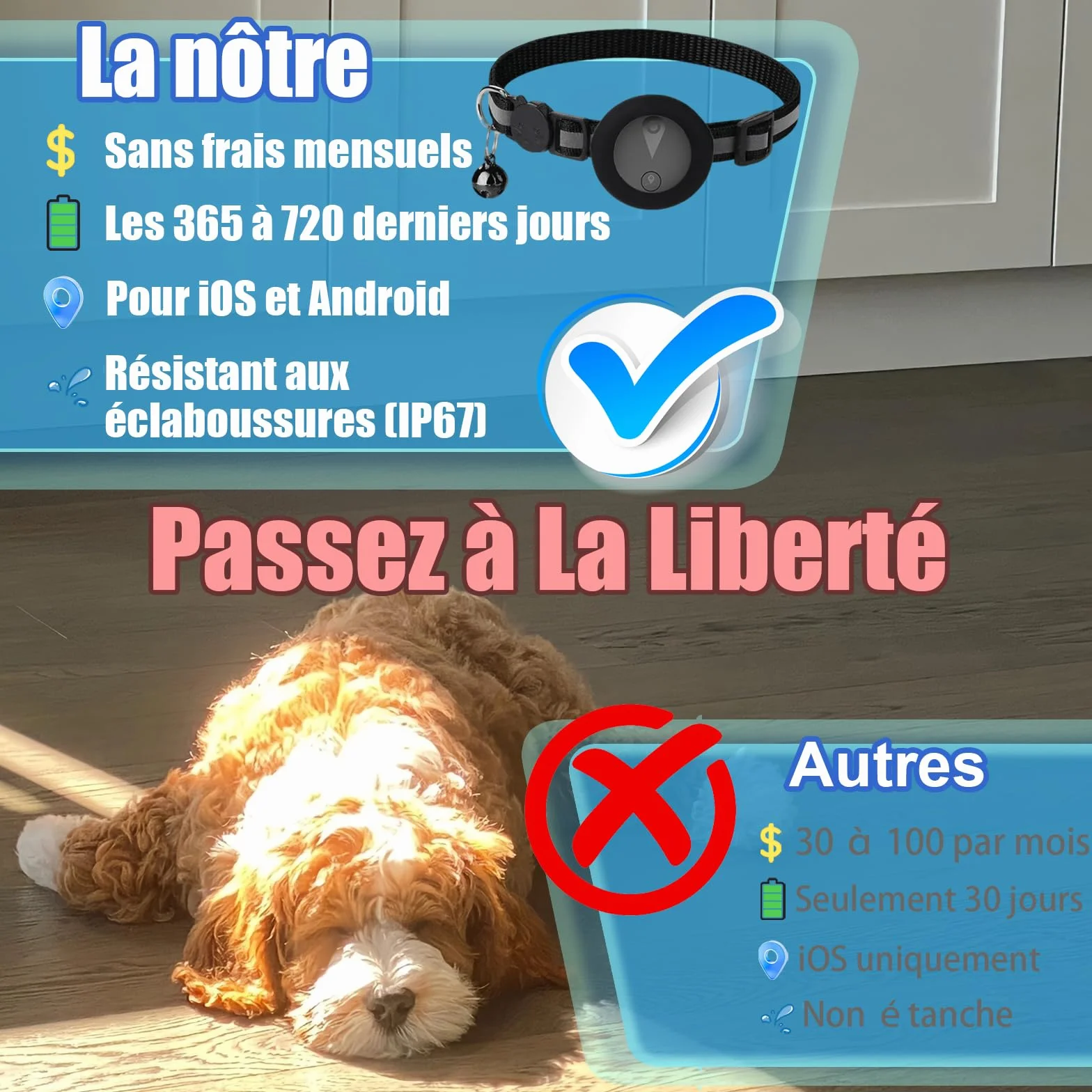 Collier GPS Chien Suivi Temps Réel Étanche IP67 Noir Mat Compatible iOS Android Enregistrement Trajets 7 Jours