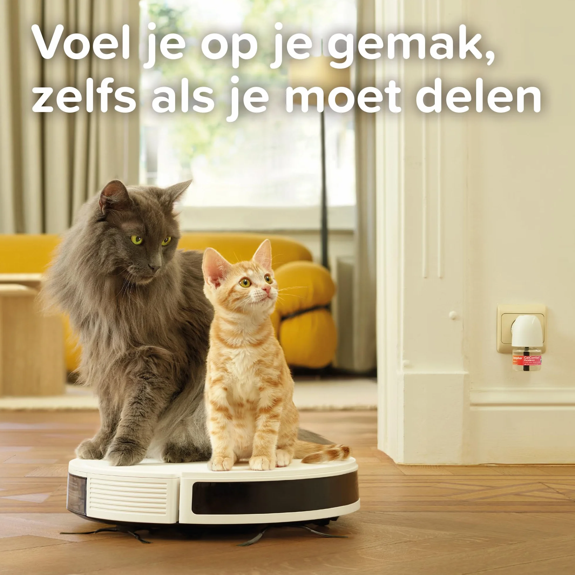 BEAPHAR CATCOMFORT EXCELLENCE Recharge diffuseur électrique phéromones chat 48ml