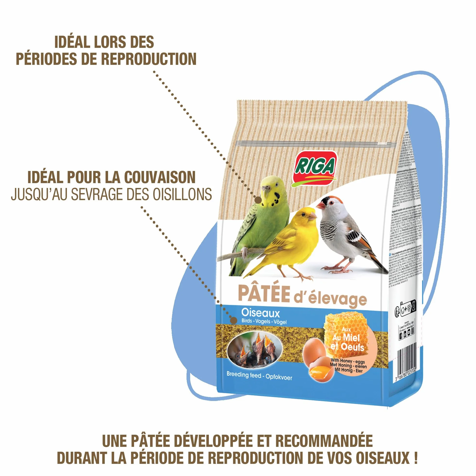 Riga Pâtée d'Élevage pour Oisillons Aliment Complémentaire aux Oeufs Céréales Miel Graines Protéines Végétales Reproduction 500 g