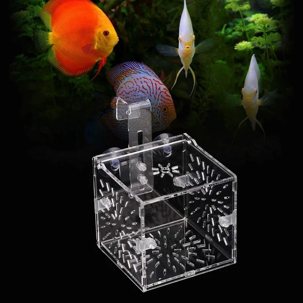 Fabater Boîte d'élevage de Poissons Non Toxiques, Aquarium Éclosion Suspendue 10x10x10 cm