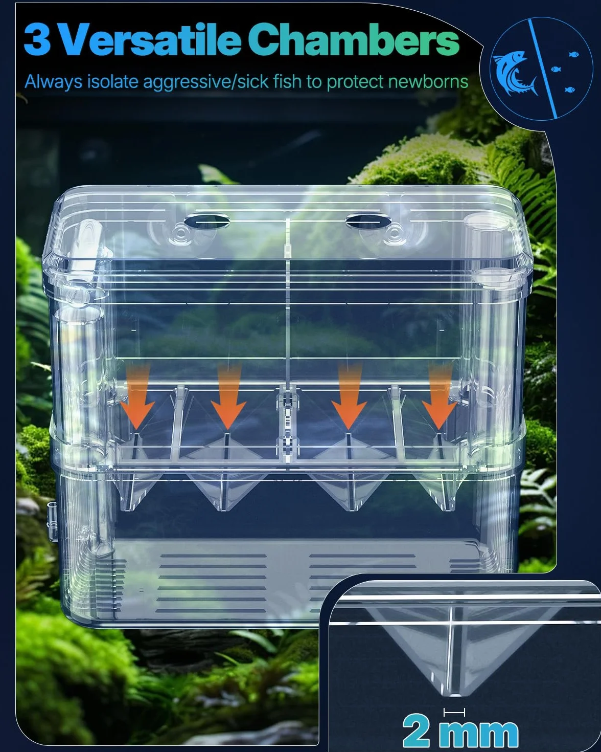 Pawfly Boîte d'élevage d'aquarium en plastique transparent - Incubateur pour crevettes - Grande boîte d'isolation pour poissons