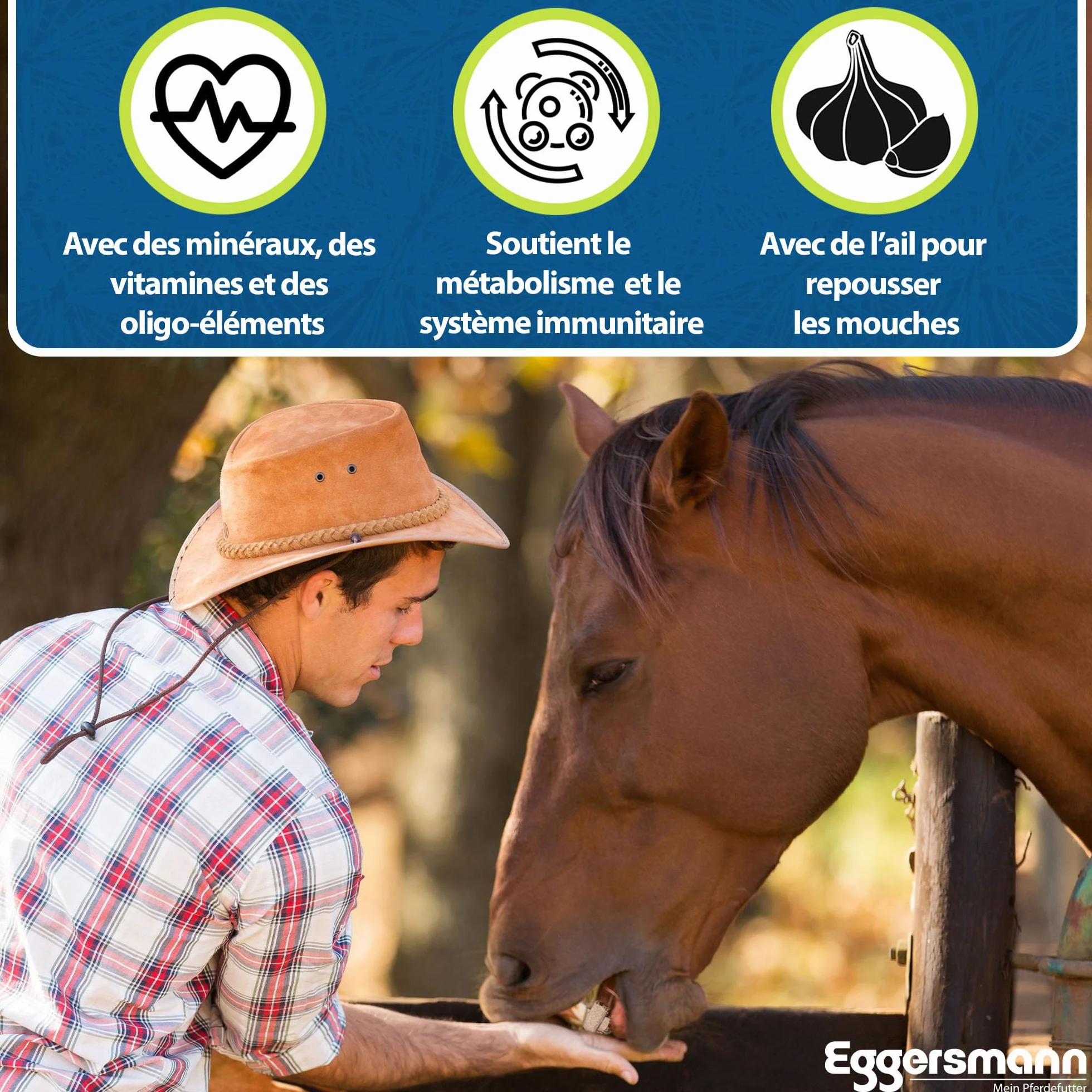 Eggersmann Mineral Bricks ail pour Cheval, Complément minéral contre les insectes, 4 kg