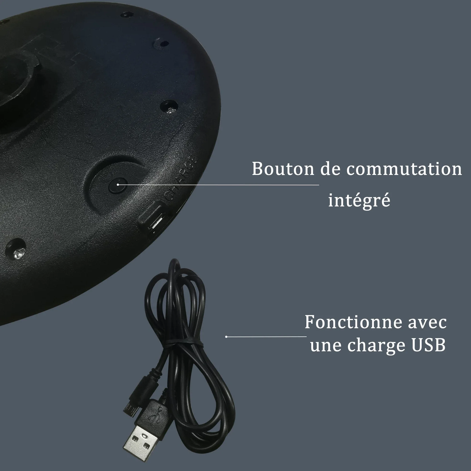 PURPLE LEAF Lampe Parasol Rechargeable RGB LED 12 Modes Lumière Parapluie Jardin Terrasse
