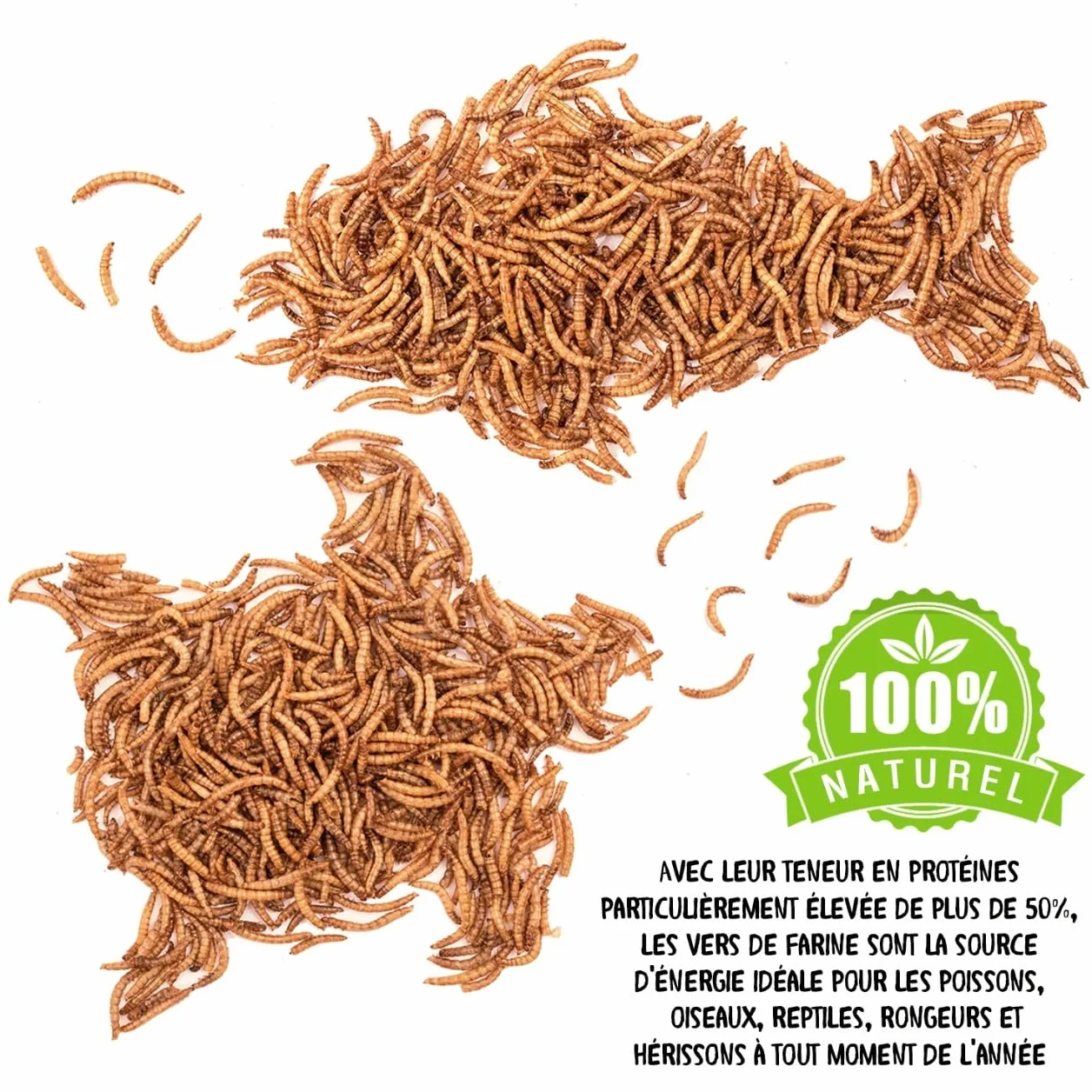 Vers de Farine Séchés 2 kg 13000 ml Nourriture pour Poissons Oiseaux Tortues Hérissons Rongeurs Reptiles