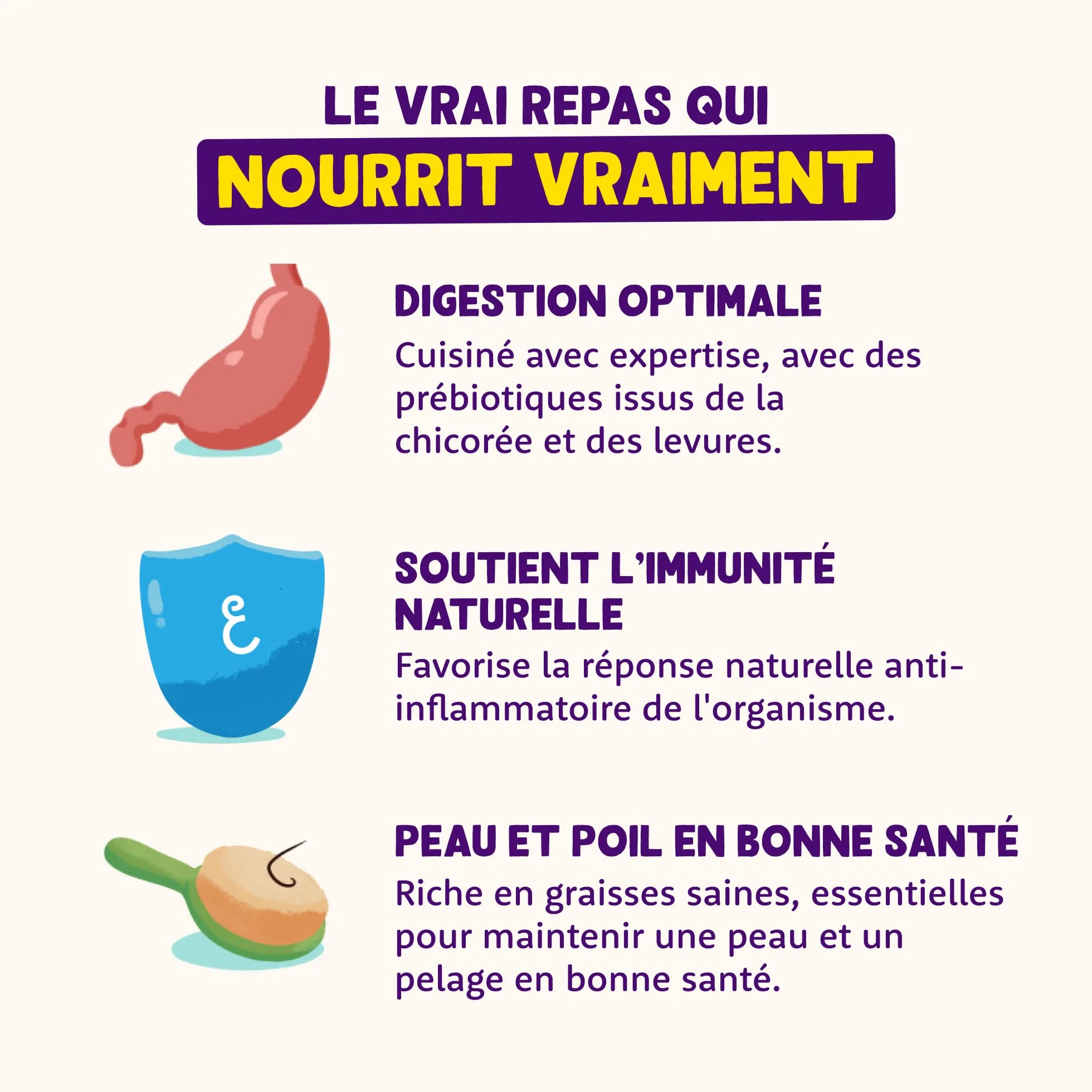 Edgard & Cooper Pâté Pour Chien Saumon & Dinde 400g x 6 Sans Céréales Hypoallergénique