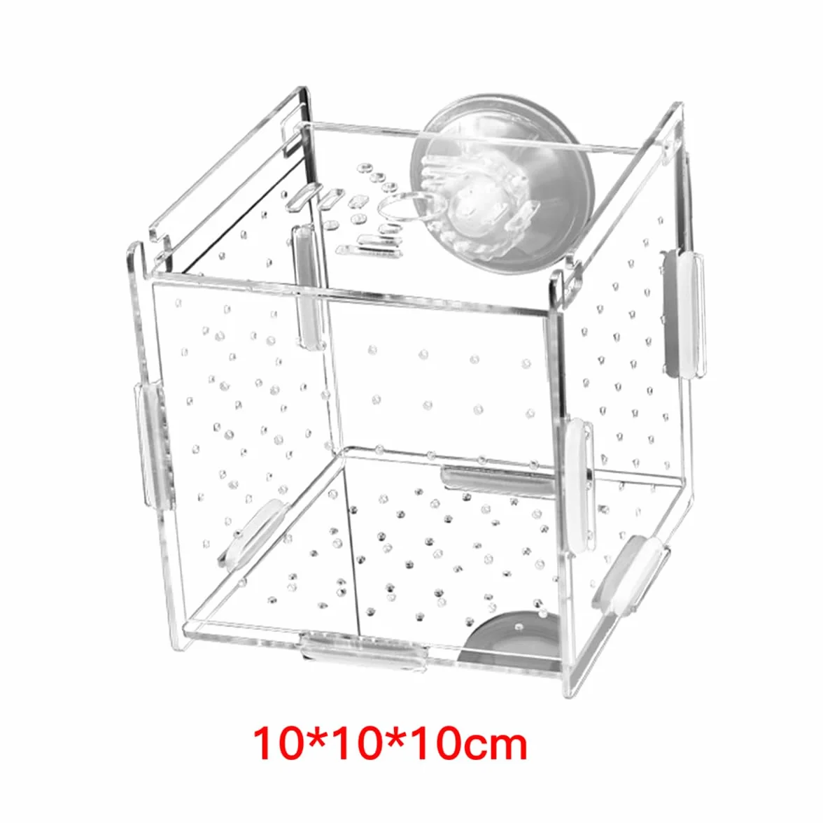 Boîte d'élevage de Poissons en Acrylique Transparent avec Ventouse pour Aquarium