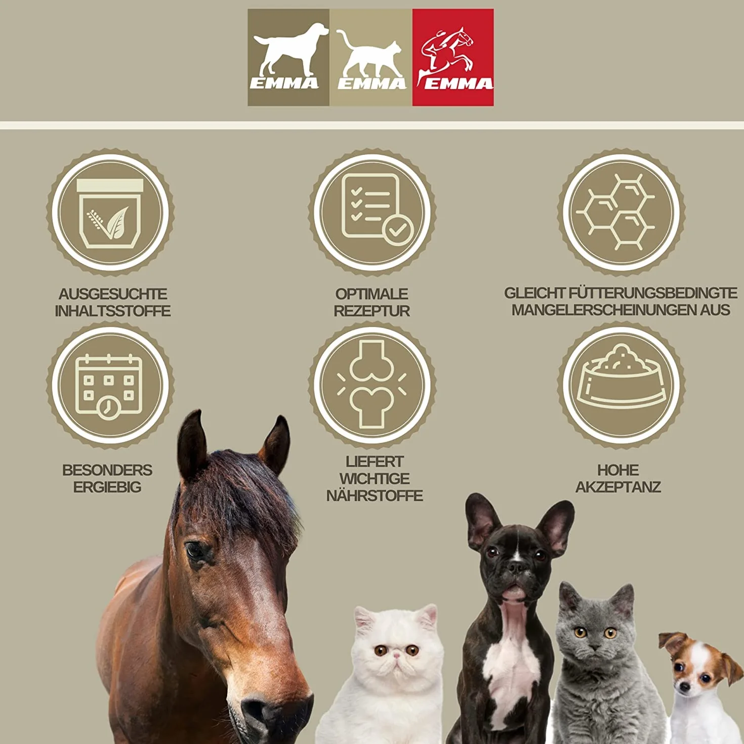 Huile de Lin Chevaux Chiens Chats 1L pressée à Froid Oméga 3 Acides Gras