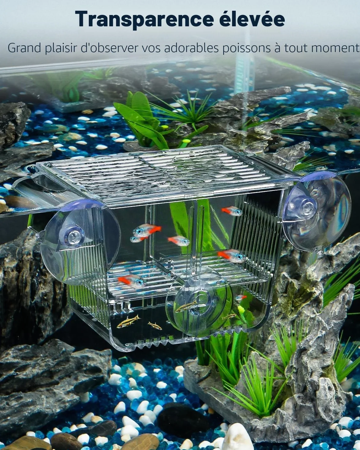 Pawfly Incubateur Aquarium Acrylique 6 Ventouses pour Poissons Betta, Crevette, Guppy, Platy