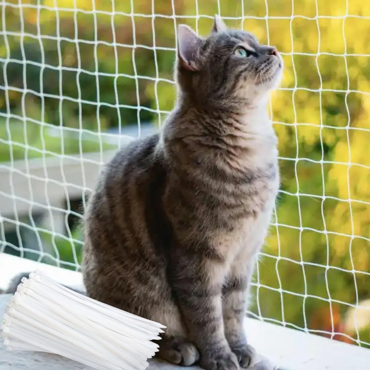 Filet pour Chat de Balcon 6x3m sans perçage Nylon Haute résistance Blanc