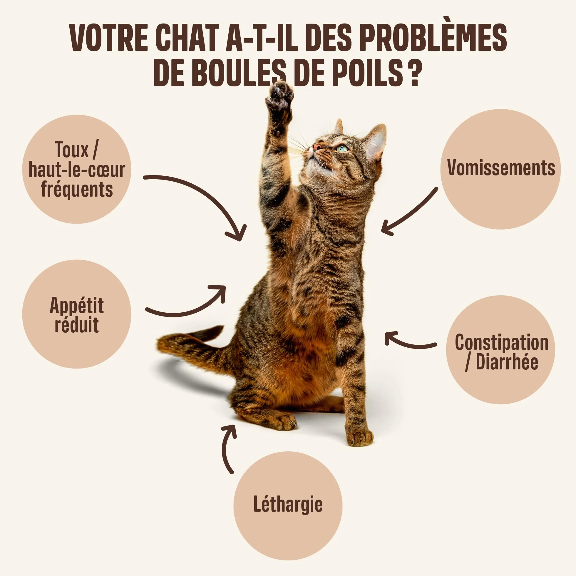 ivvi Anti-Boules de Poils Essence pour Chats – Crème à Lécher avec Malt, Orme Rouge, Inuline & Psyllium – 30x15g au Vrai Thon