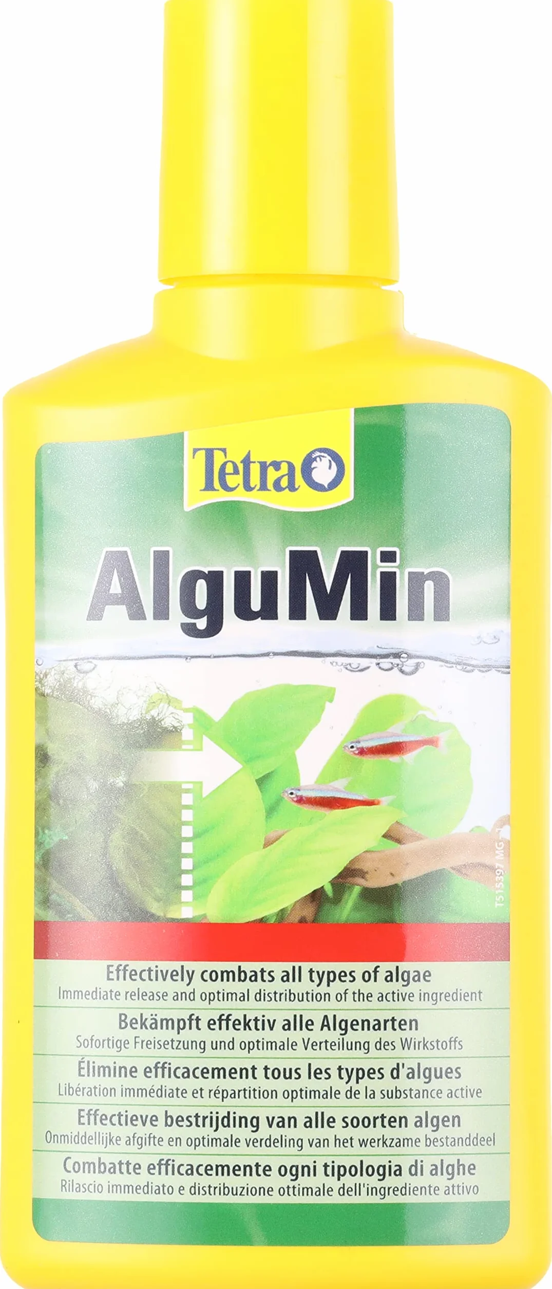 TETRA AlguMin Élimine les Algues 250 ml