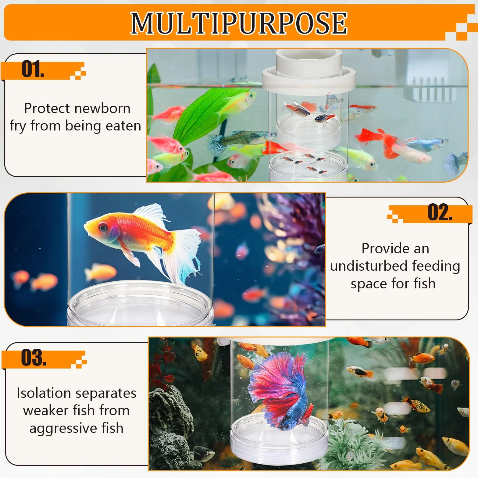 Boîte d'élevage flottante en plastique pour aquarium, séparateur de poissons, incubateur transparent pour crevettes betta