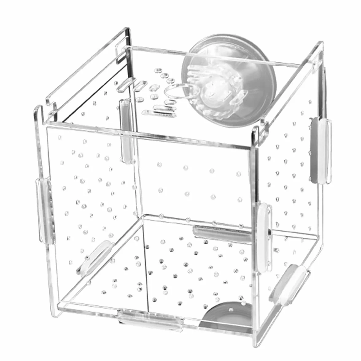 Boîte d'élevage de Poissons en Acrylique Transparent avec Ventouse pour Aquarium
