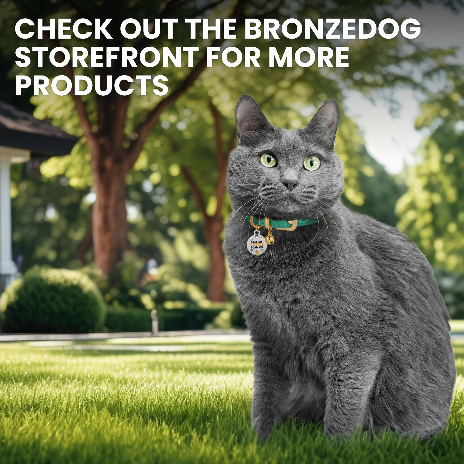 Collier pour Chat en Cuir avec Médaille QR-ID Amovible – BRONZEDOG, Non-Anti-Étranglement, Marron Clair & Or, 18-22 cm