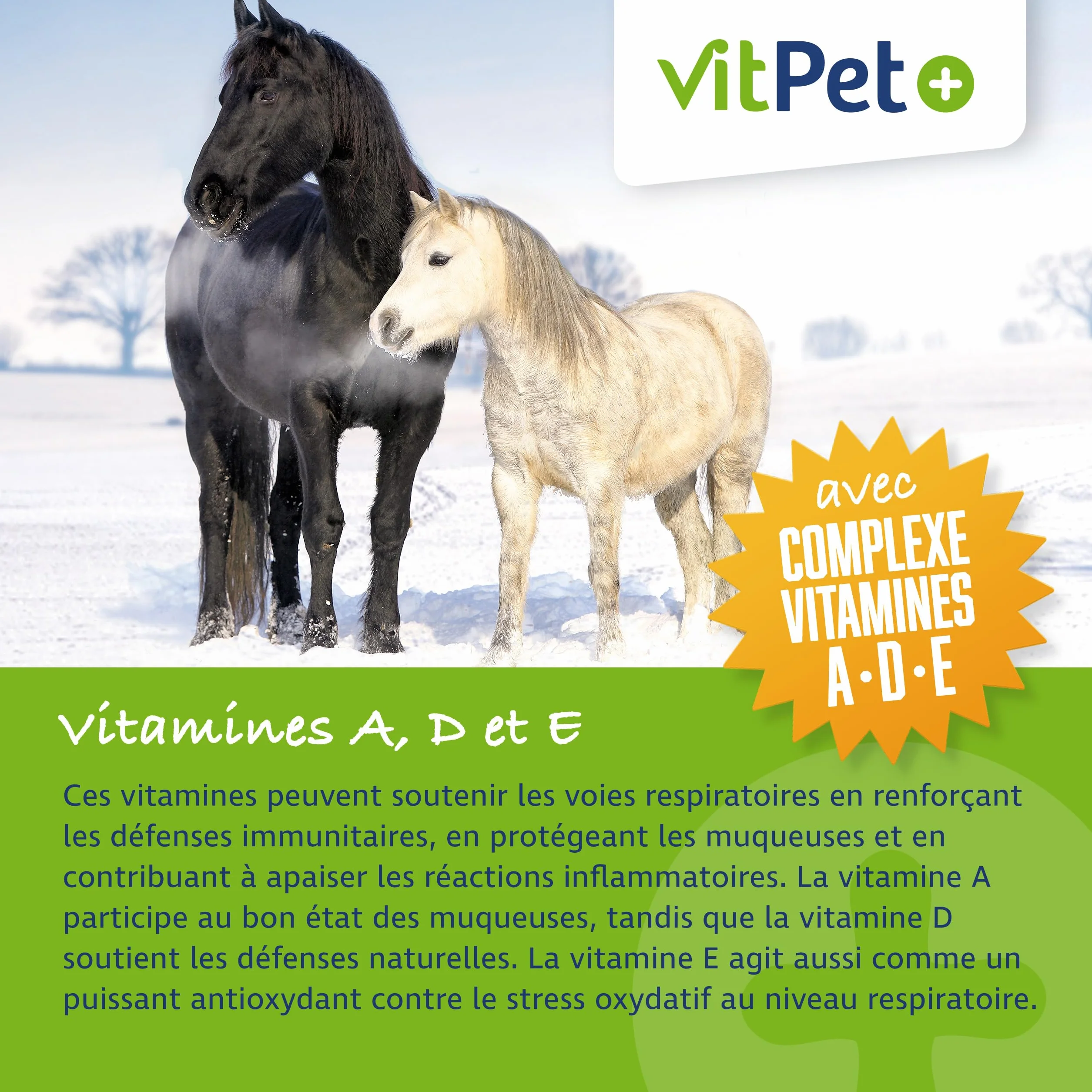 PneumoVit Cheval contre la toux 1,2 kg Eucalyptol Naturel Soutien respiratoire immunitaire Expectorant apaisant