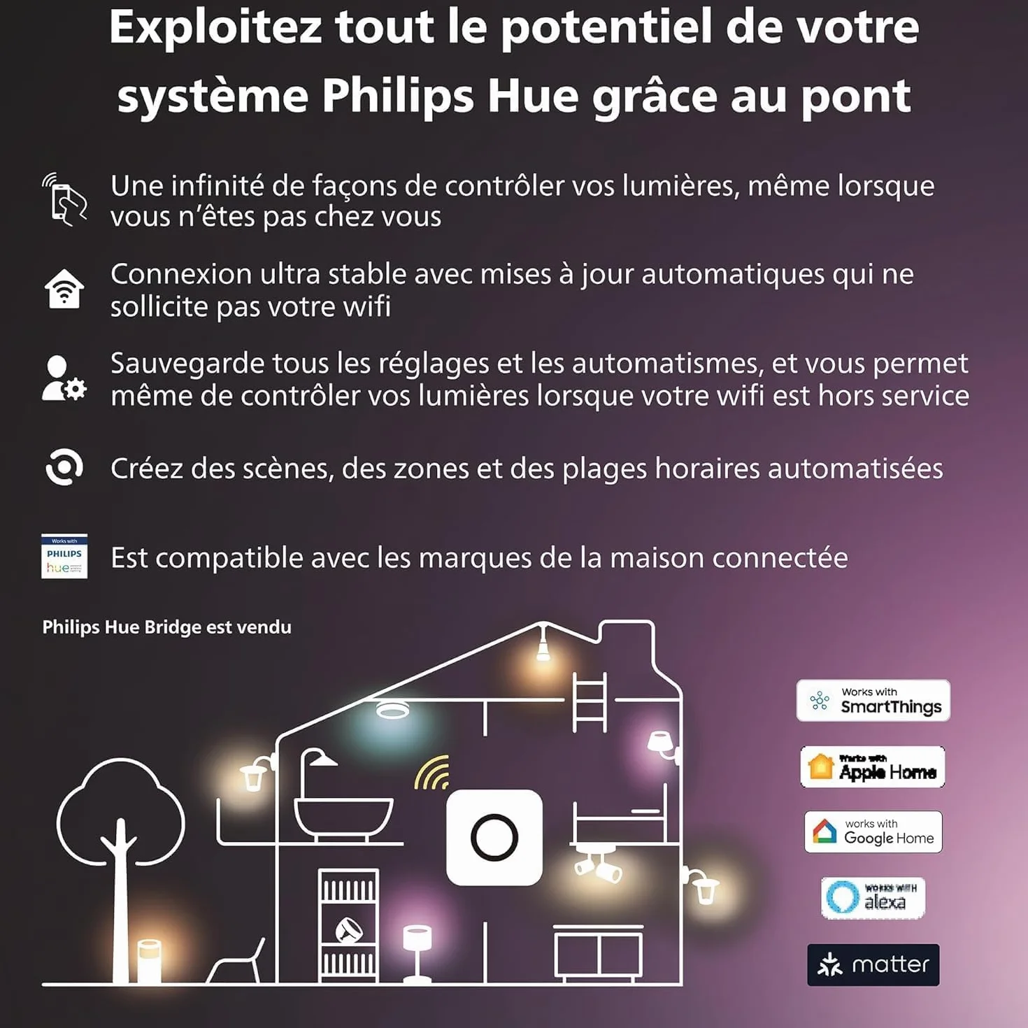 Philips Hue Play White and Color Ambiance Barre lumineuse LED connectée, Pack de 2, Noir