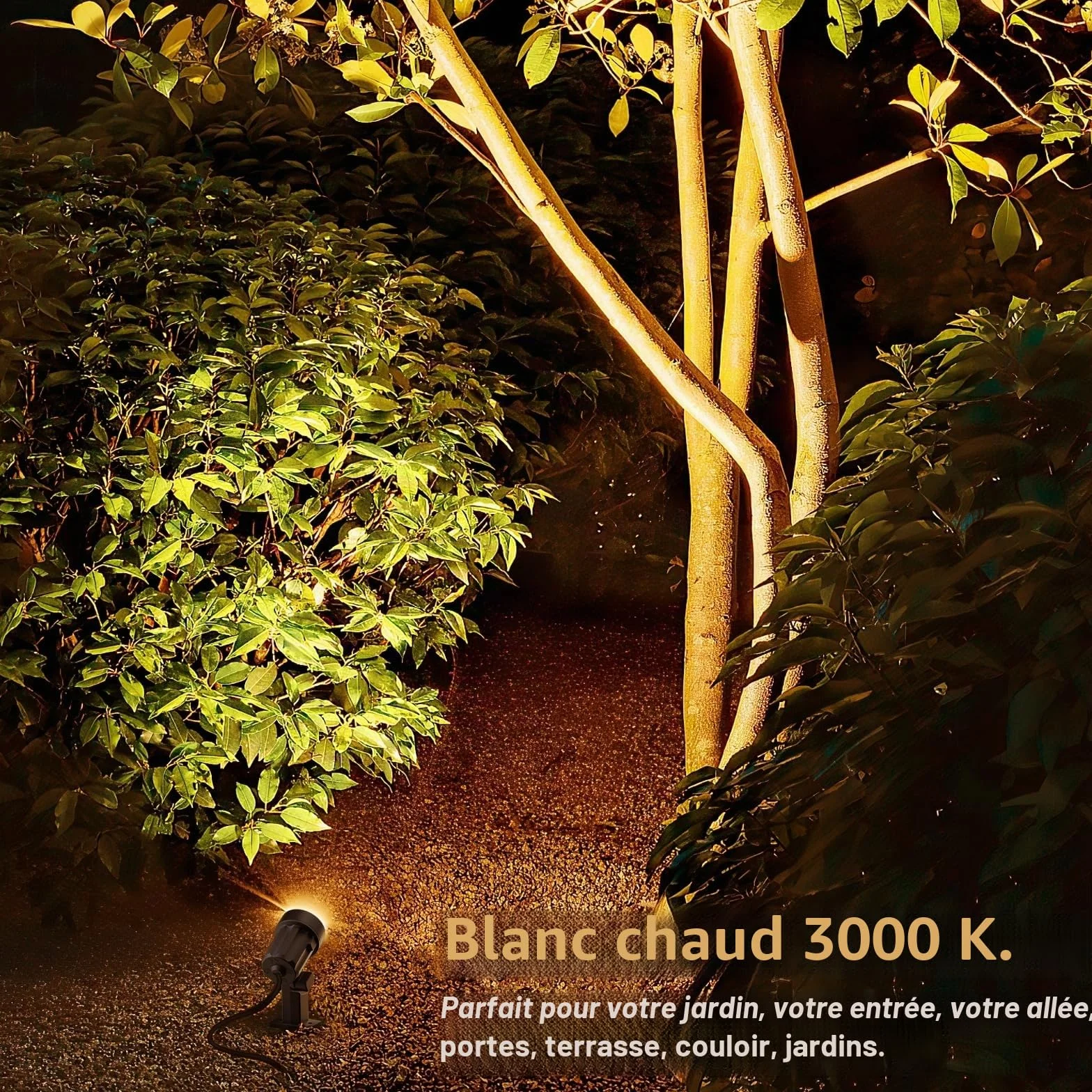 MEIKEE Lampe Solaire Exterieur IP66 3000K 6V 6W 6000mAh 3 Modes Eclairage Jardin