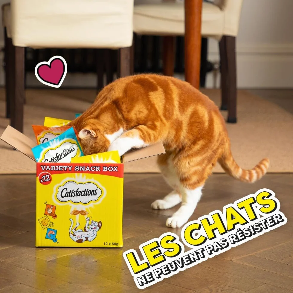 Friandises pour Chat et Chaton au Canard - Lot de 6 Sachets de 60g - Croquantes Tendres