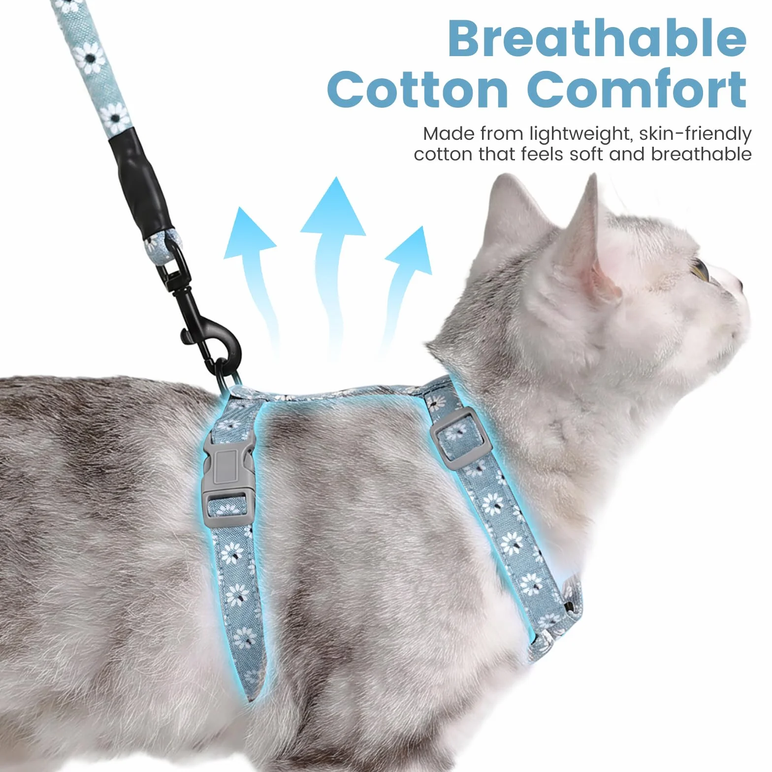 PETTOM Harnais Laisse Chat Anti Évasion Réglable avec Laisse Corde 145 cm pour Chaton Chat Adulte Bleu