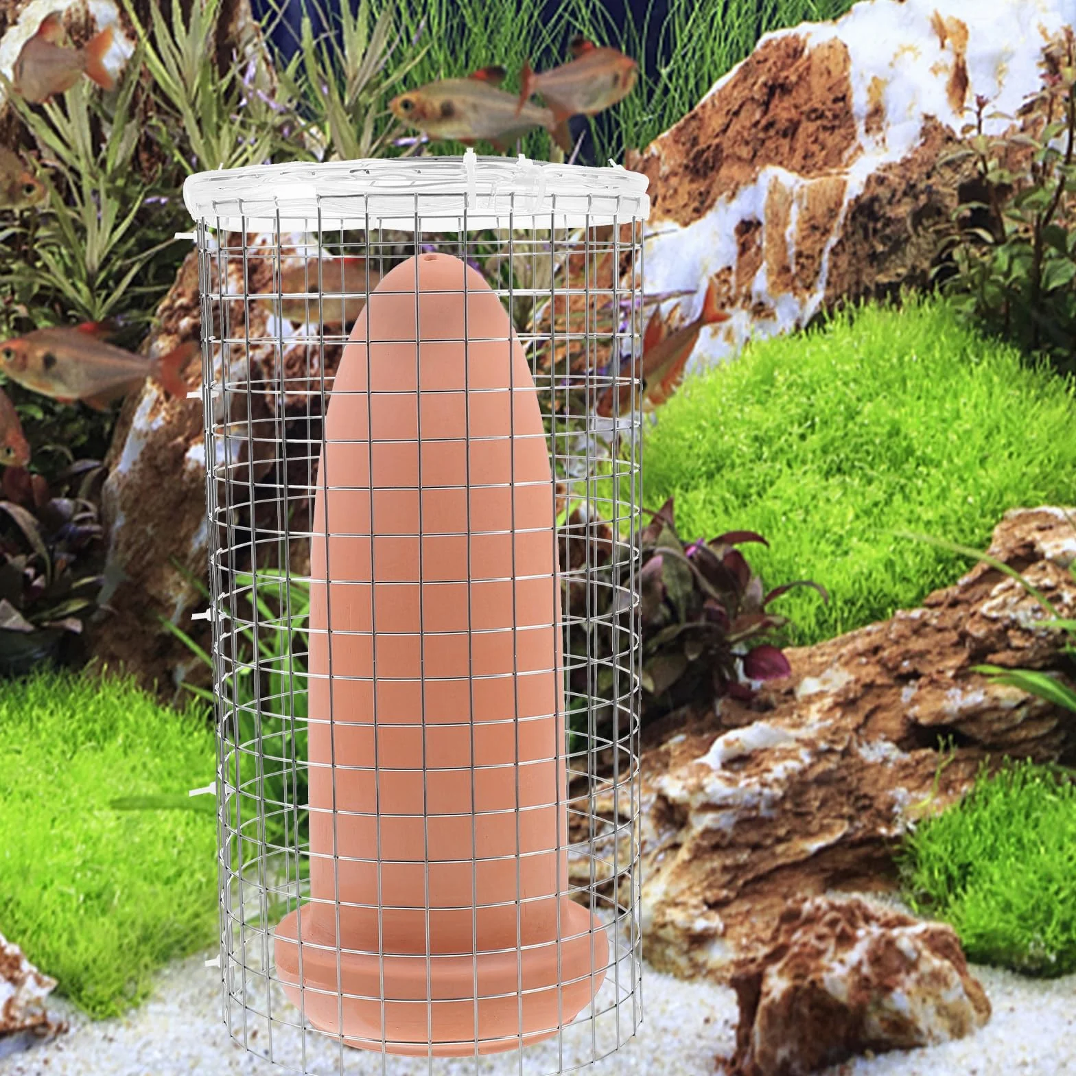 Cônes d'élevage en céramique pour Discus Crevettes Taille L