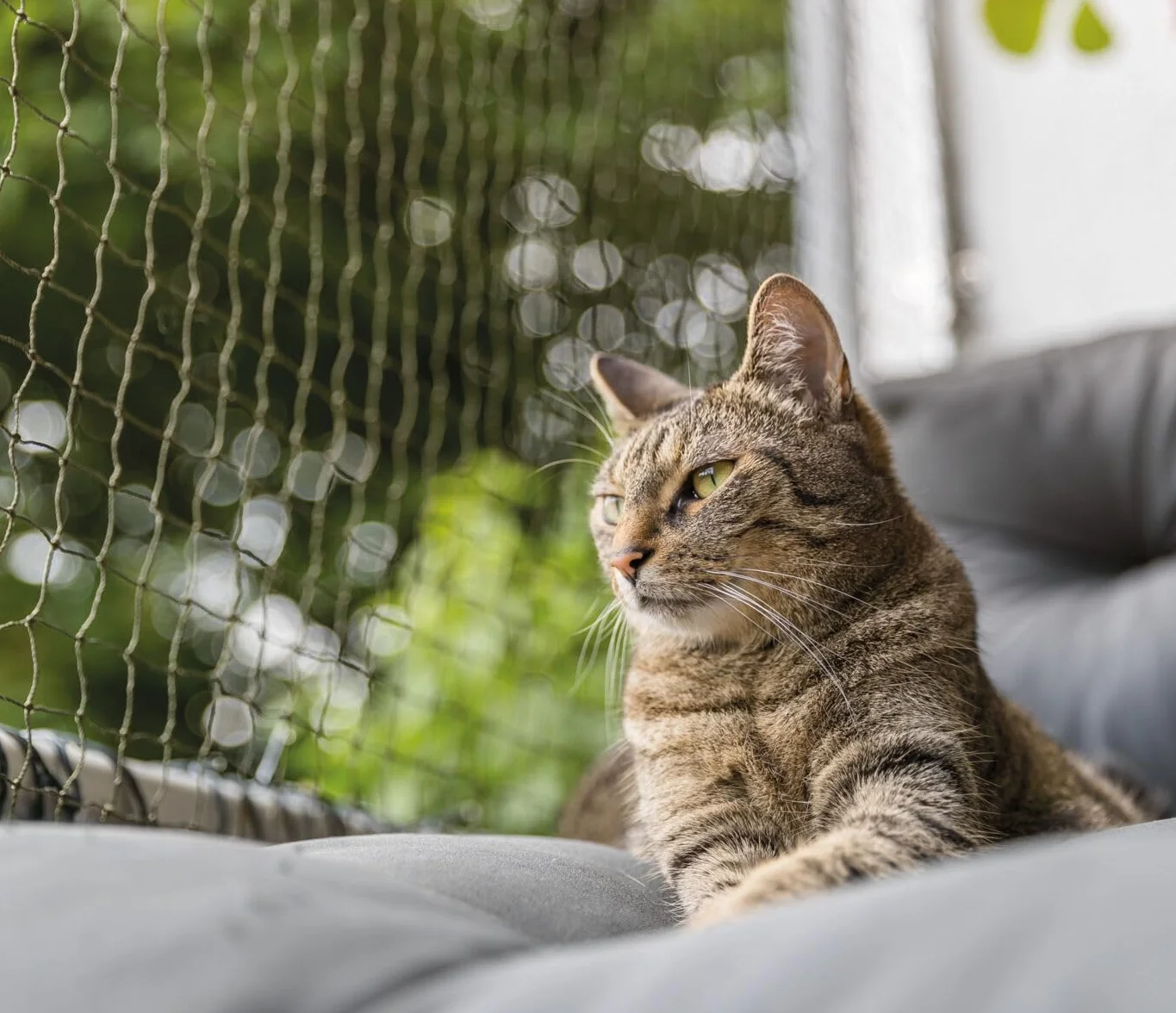 Trixie Filet de Protection Maille Grillagée Vert Olive 4 × 3 m pour Chat