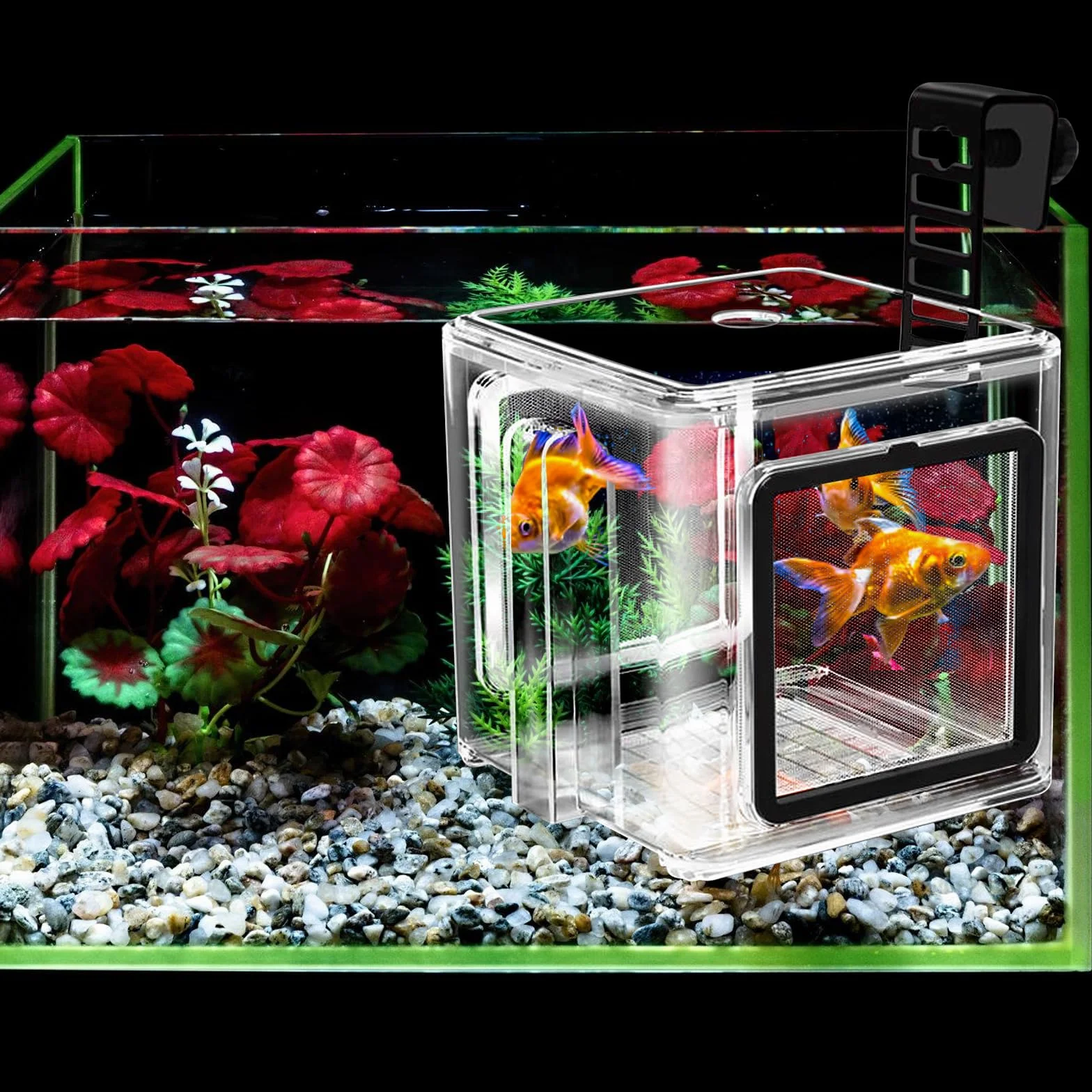 Incubateur Aquarium Boîte Isolante Carrée En Acrylique 15cm