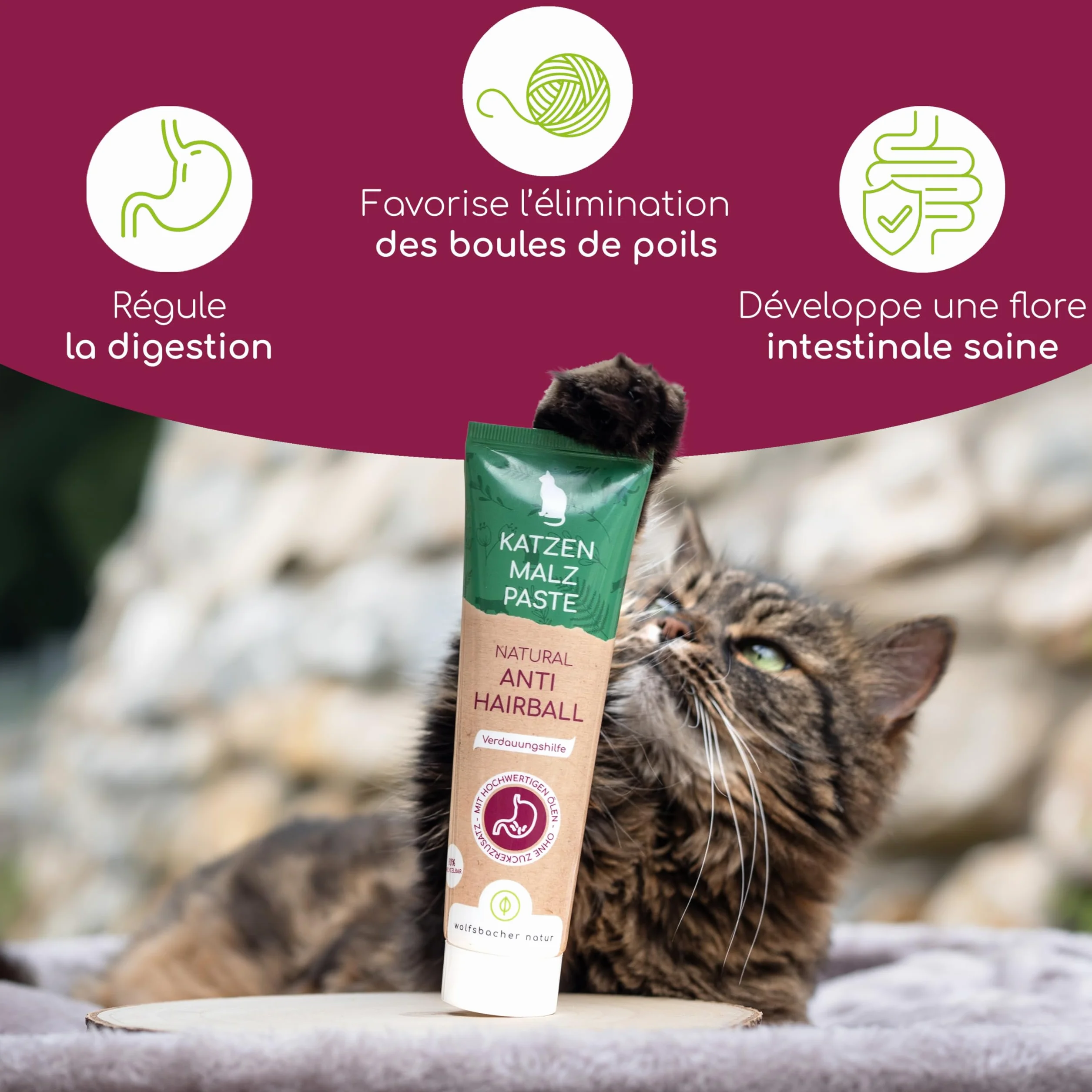 Pâte de Malt pour Chat Anti Boules de Poils 100g