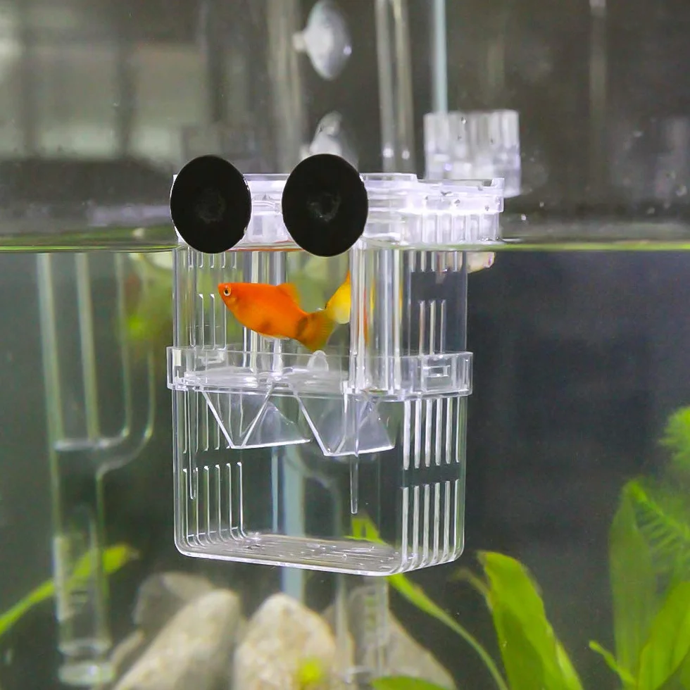 SENZEAL Boîte d'élevage de poisson flottante avec pipettes pour aquarium