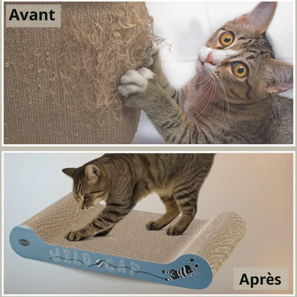 TRIXIE griffoir pour chat en carton ondulé robuste avec herbe à chat 41 × 24 × 7 cm