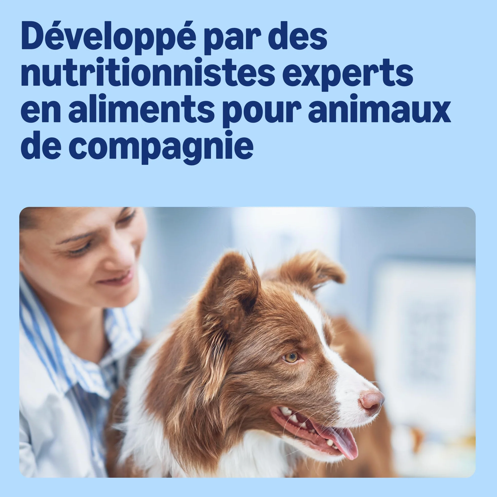 Amazon Aliment Complet pour Chiens Adultes, Sélection à la Viande en Sauce, 4.8 kg, Lot de 48 x 100g