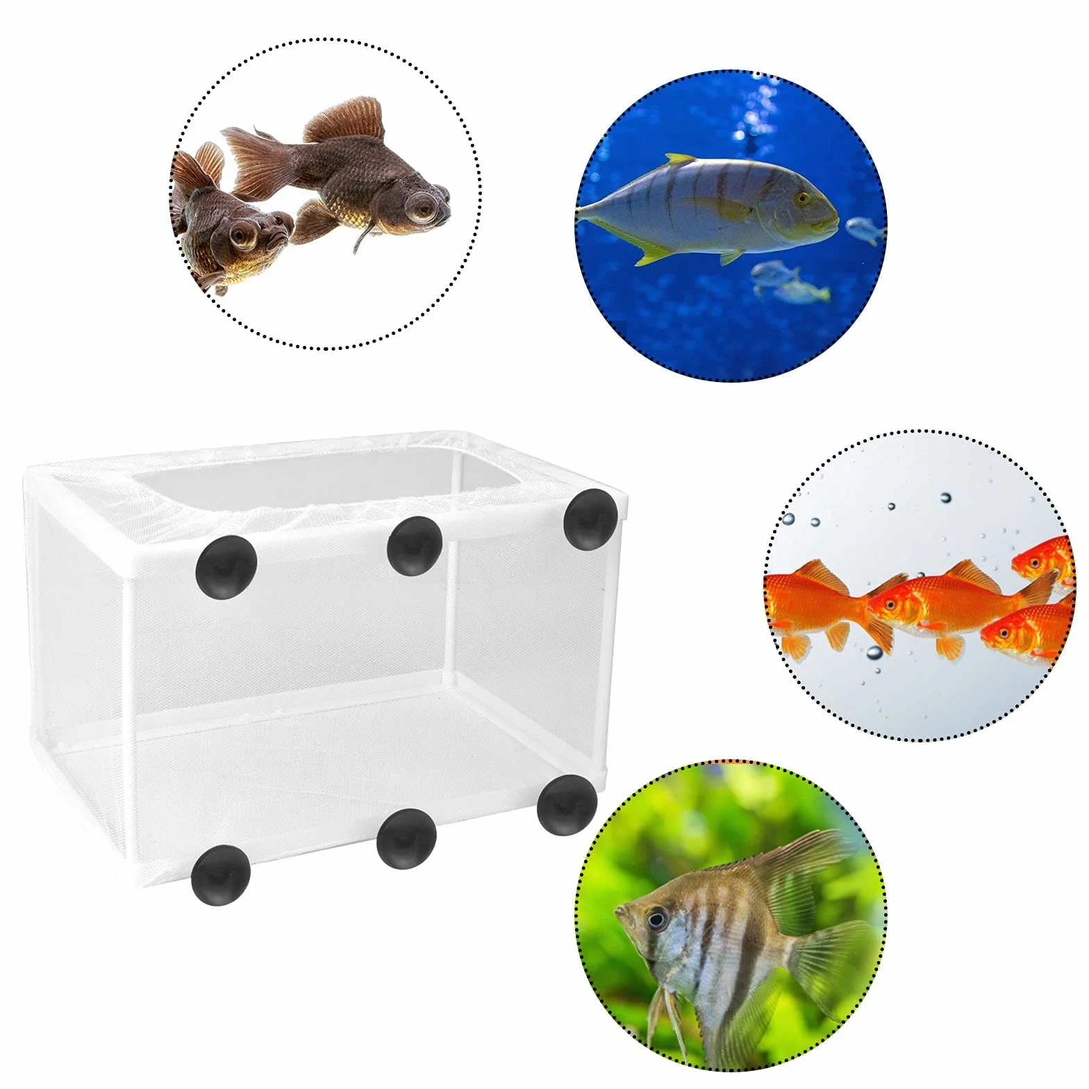 Boîte d'isolation de Poisson pour Aquarium, Filet d'écloserie Grande Taille, Incubateur à Poissons avec Ventouses 26,2x15x15cm