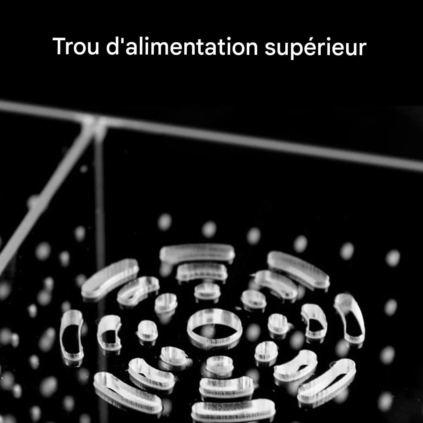 Bac de Reproduction pour Aquarium - Boîte de Reproduction pour Poissons avec Ventouses, Conteneur d'Élevage pour Œufs Nauplies Guppys Poissons Anges