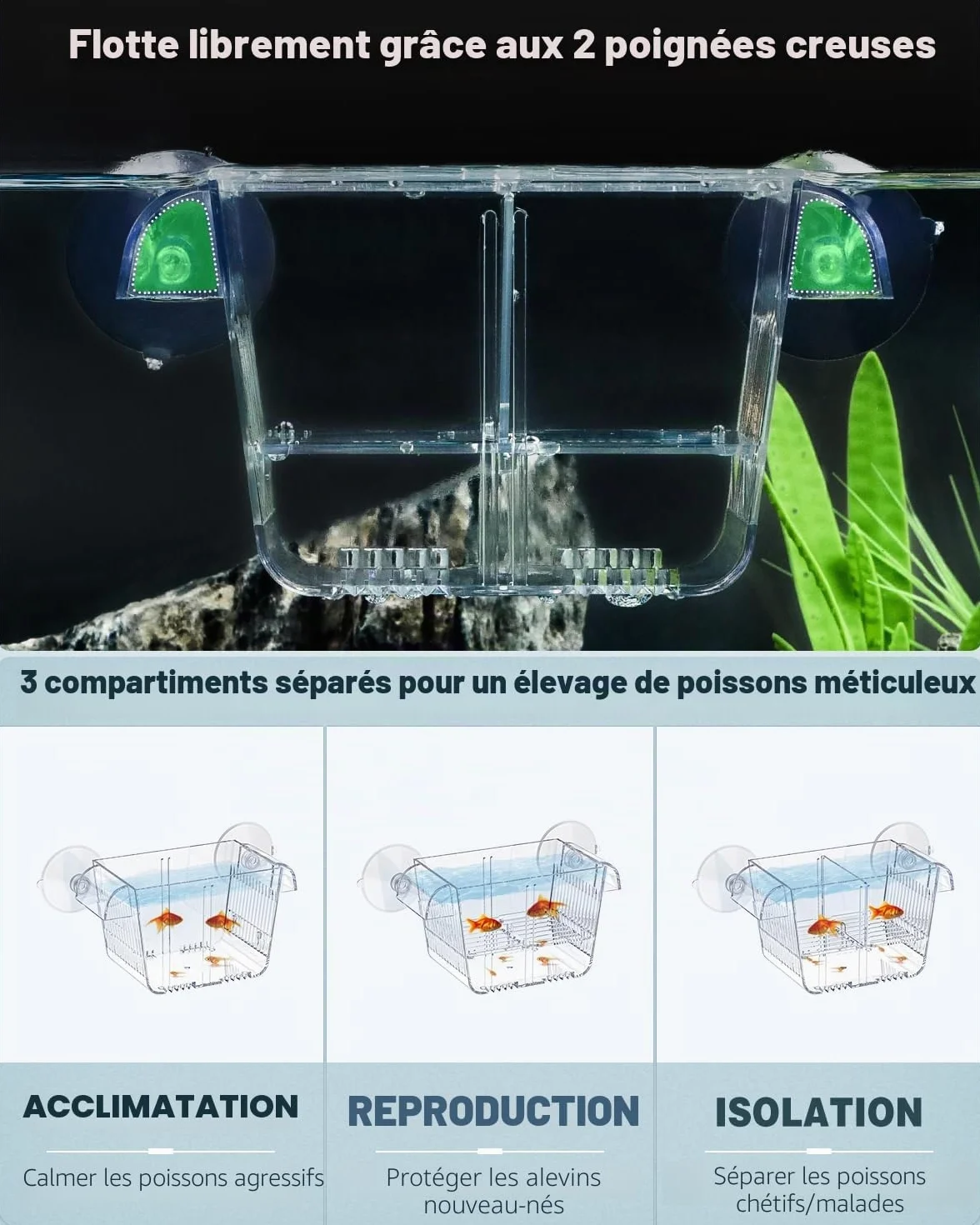 Pawfly Incubateur Aquarium Acrylique 6 Ventouses pour Poissons Betta, Crevette, Guppy, Platy