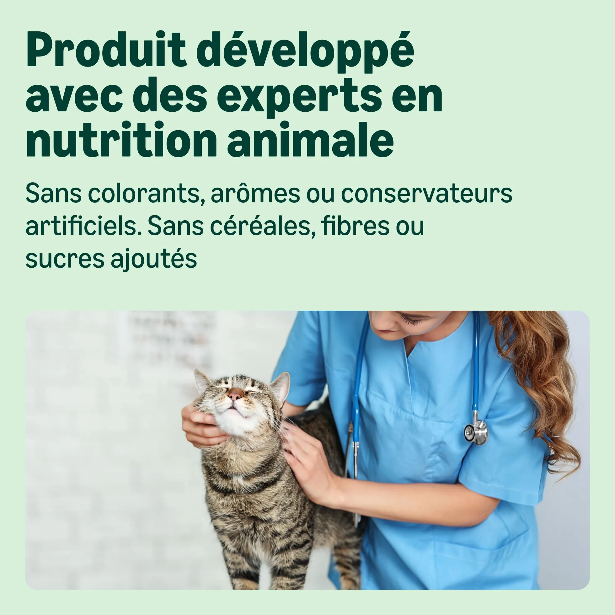 Amazon Nourriture Humide pour Chats Pâté Mélangé 100g Lot de 32