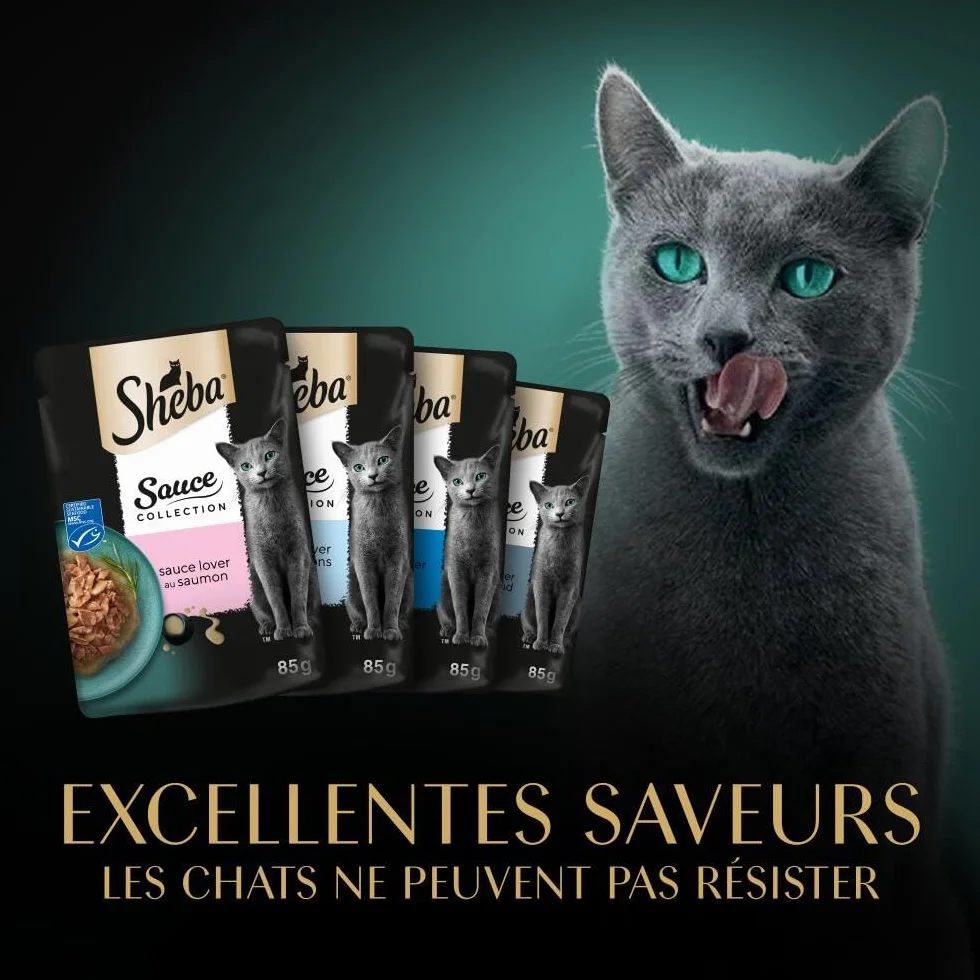 Sheba Sauce Collection Sachets fraîcheur Nourriture Humide aux Poissons pour Chat Adulte 40x85g
