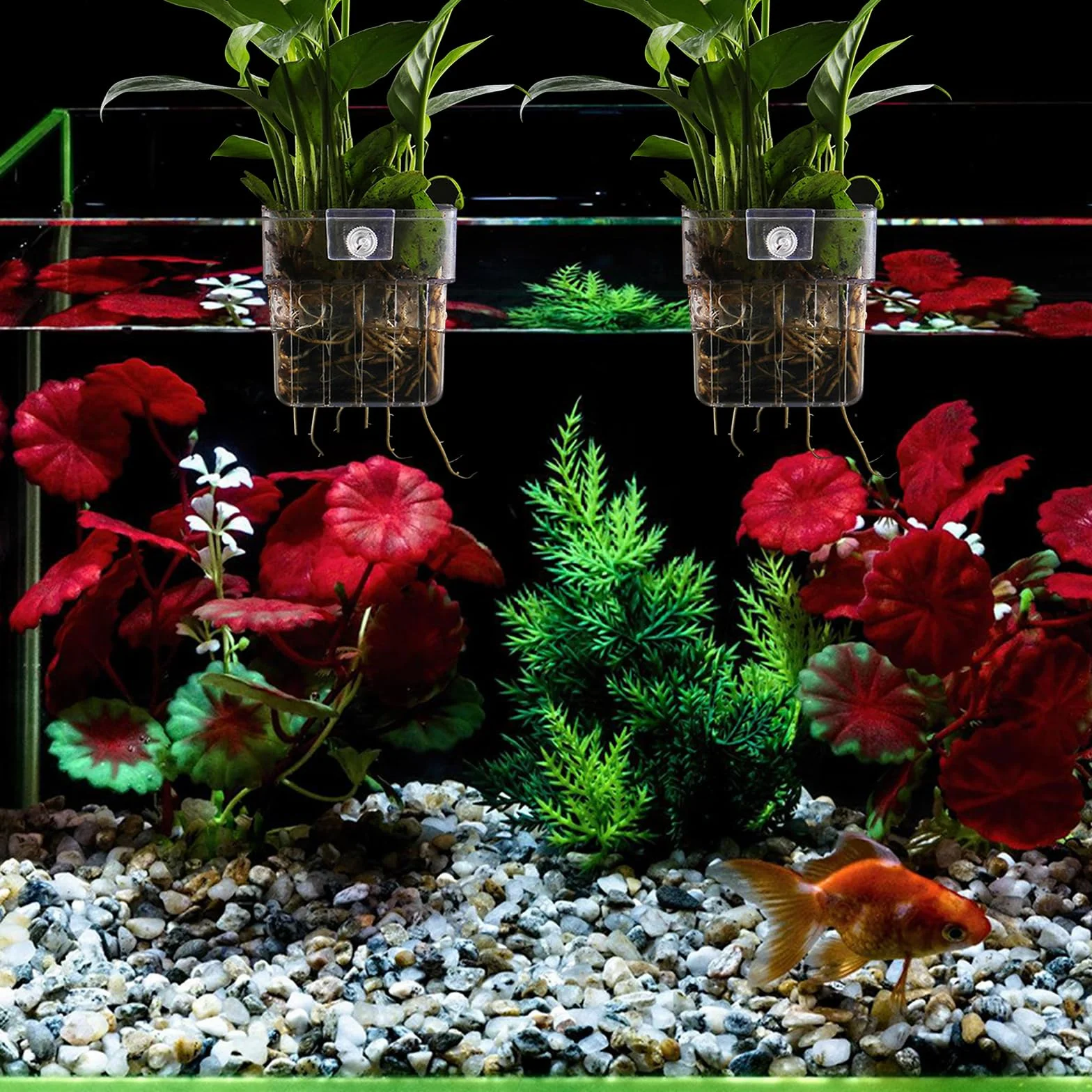 BORDEAG Support Plante D'aquarium 6 Pièces, Pot Mural pour Aquarium