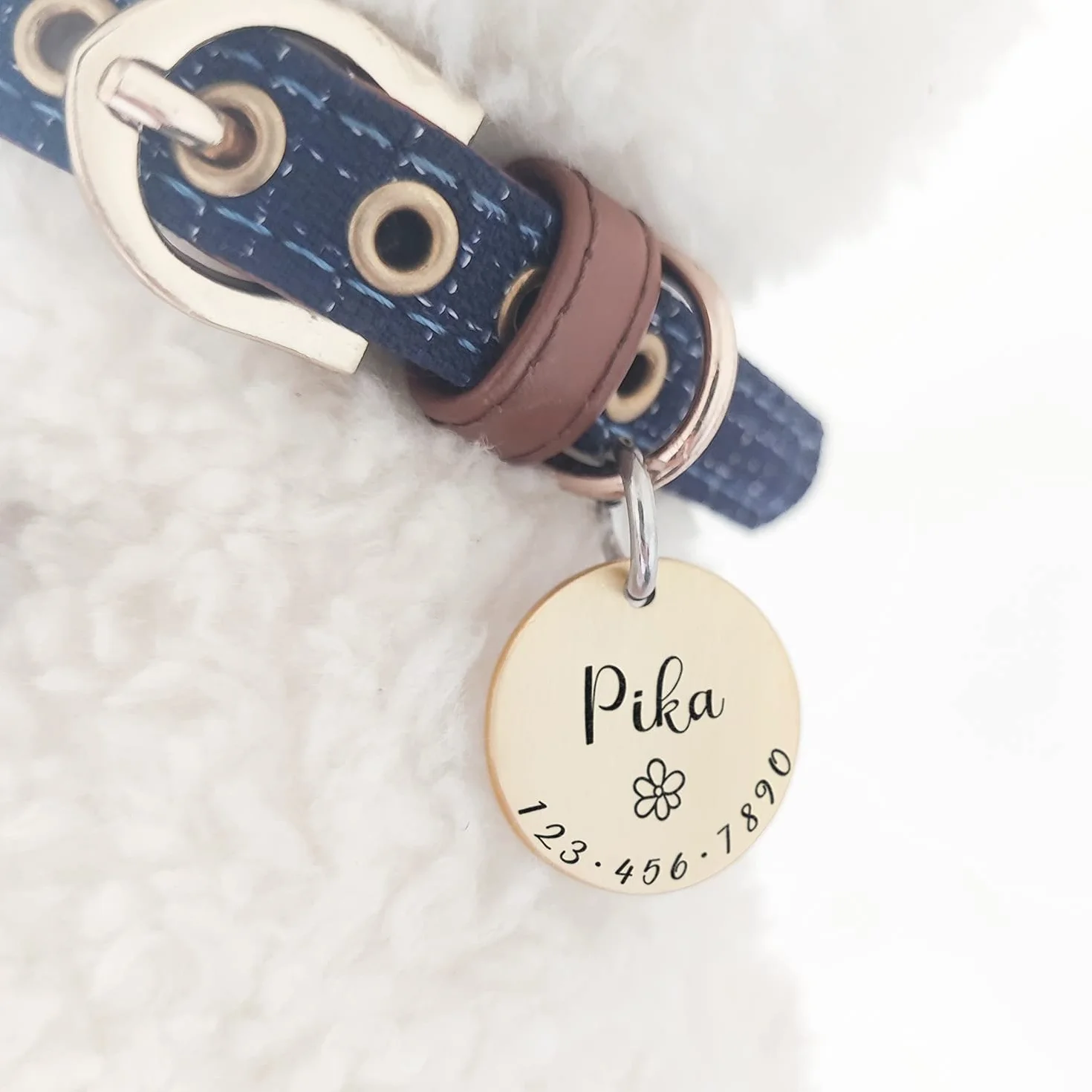 Médaille Personnalisable Chien Chat Collier Harnais Accessoire Charme Acier Inoxydable