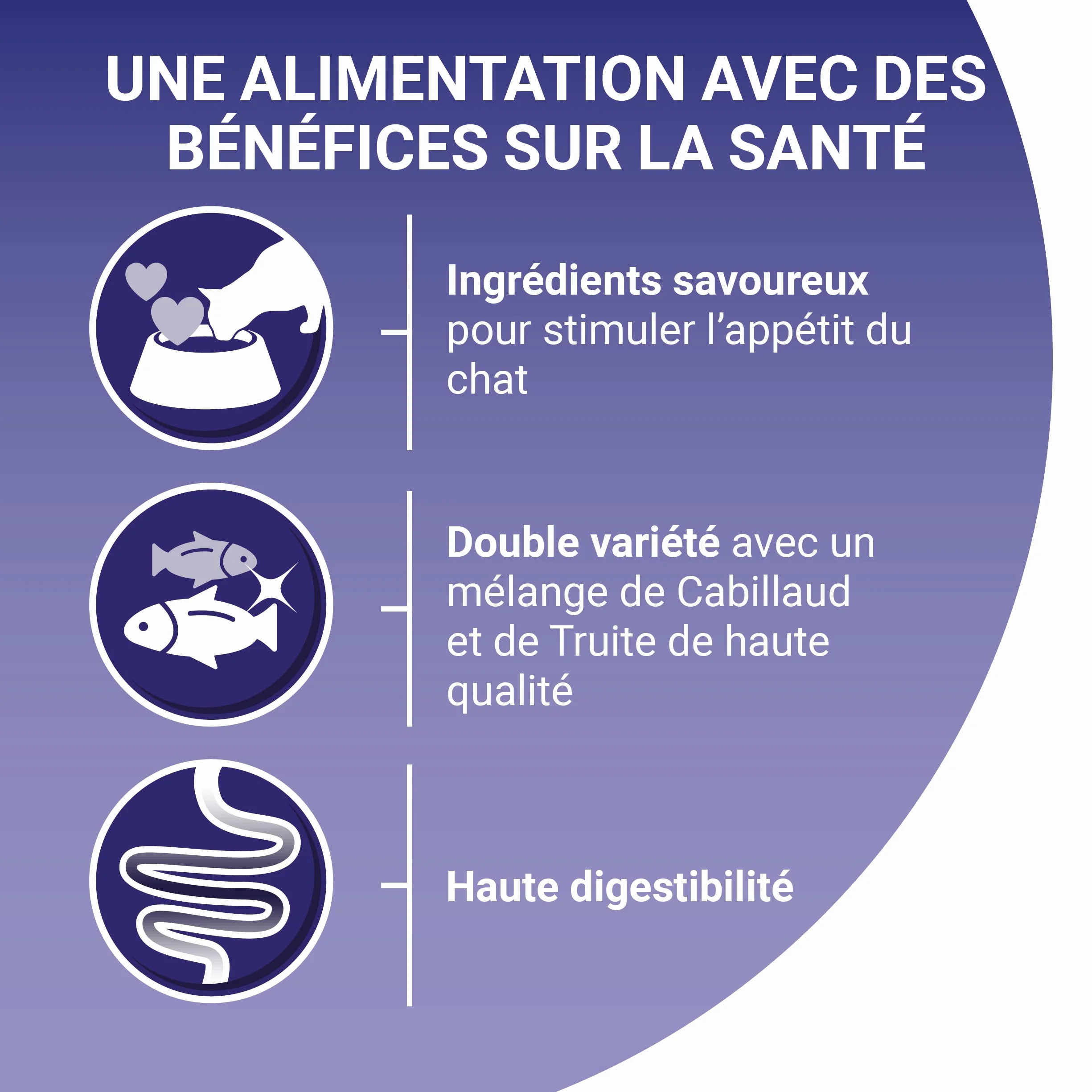 PURINA ONE BIFENSIS Croquettes Chat Adulte à l'appétit difficile 1,5 kg