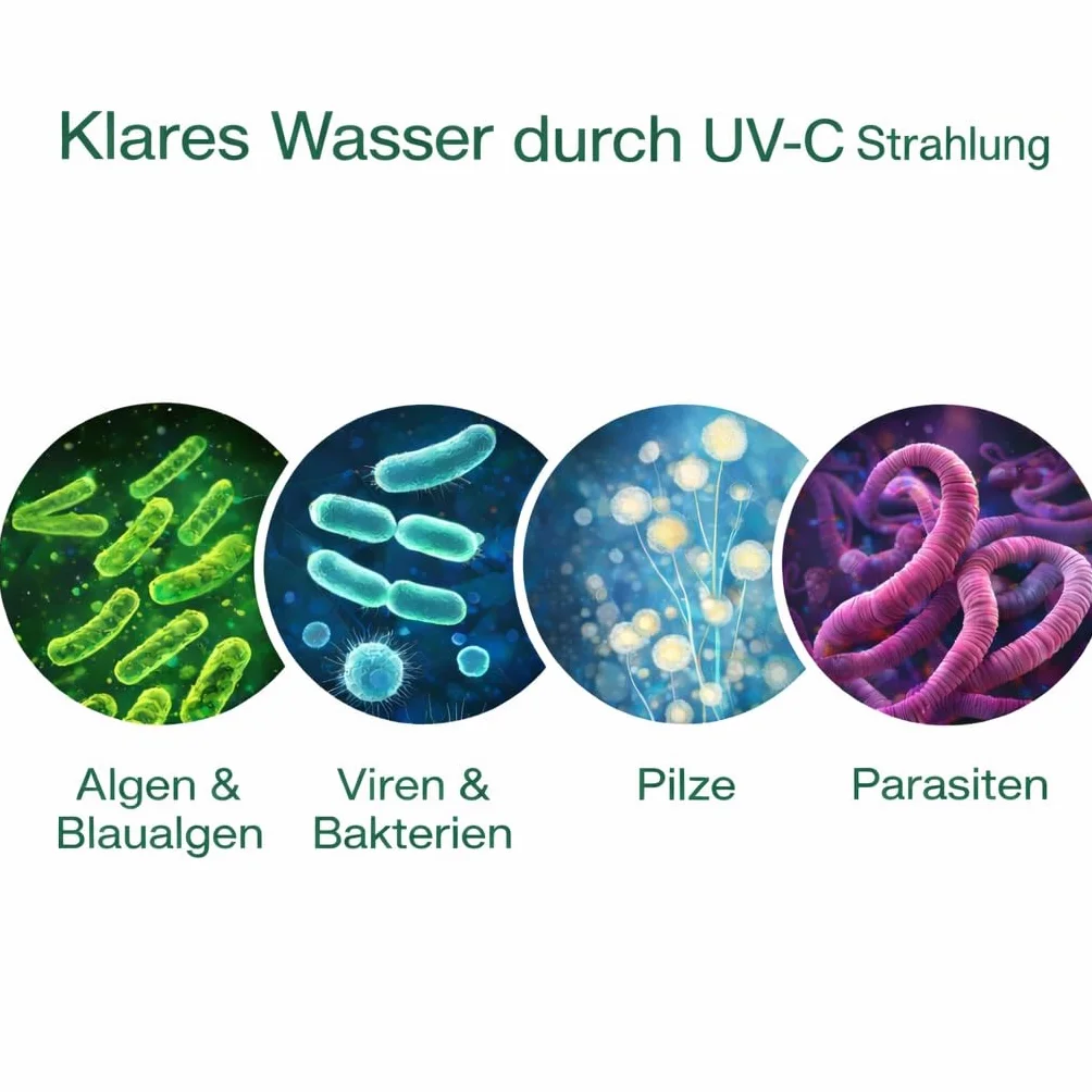 Lampe UVC 18 W PL-L 4 broches pour Oase Osaga Aquaforte bassin