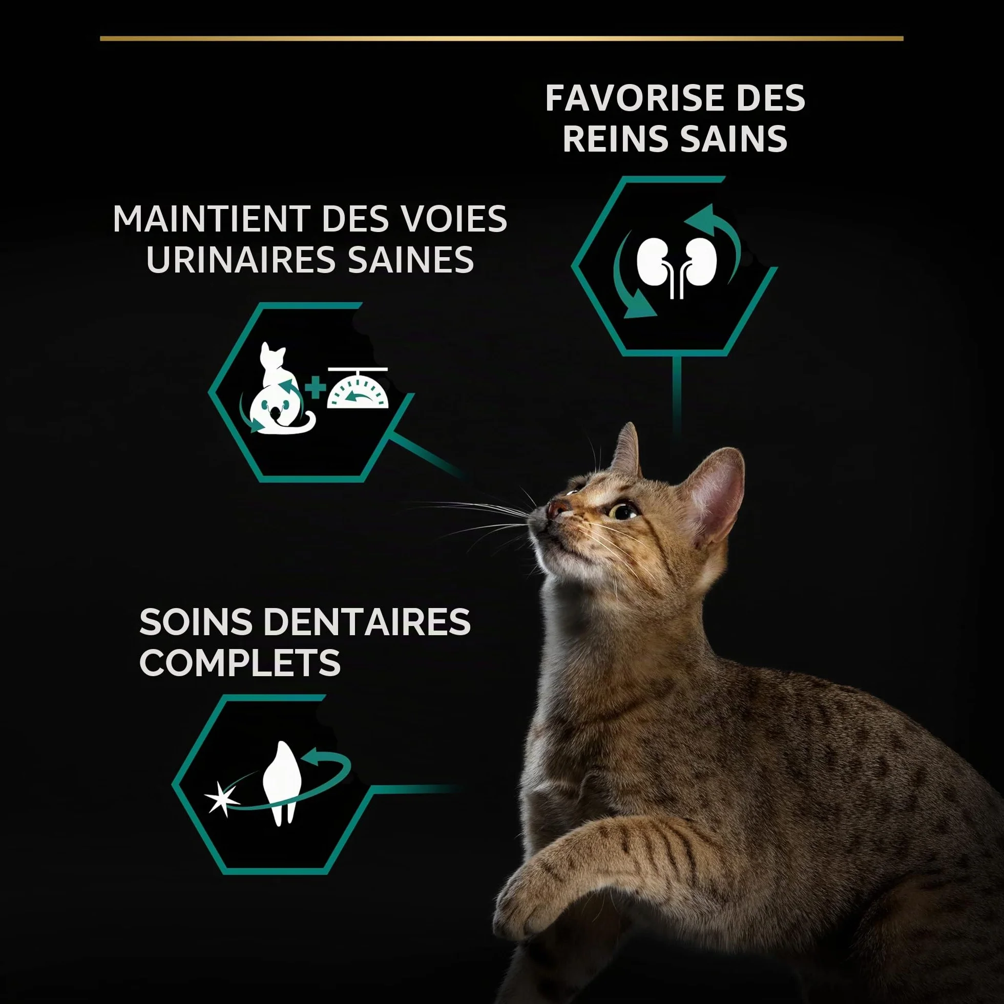 PURINA PRO PLAN Renal Plus Croquettes pour Chat Adulte Stérilisé au Saumon 1,5kg