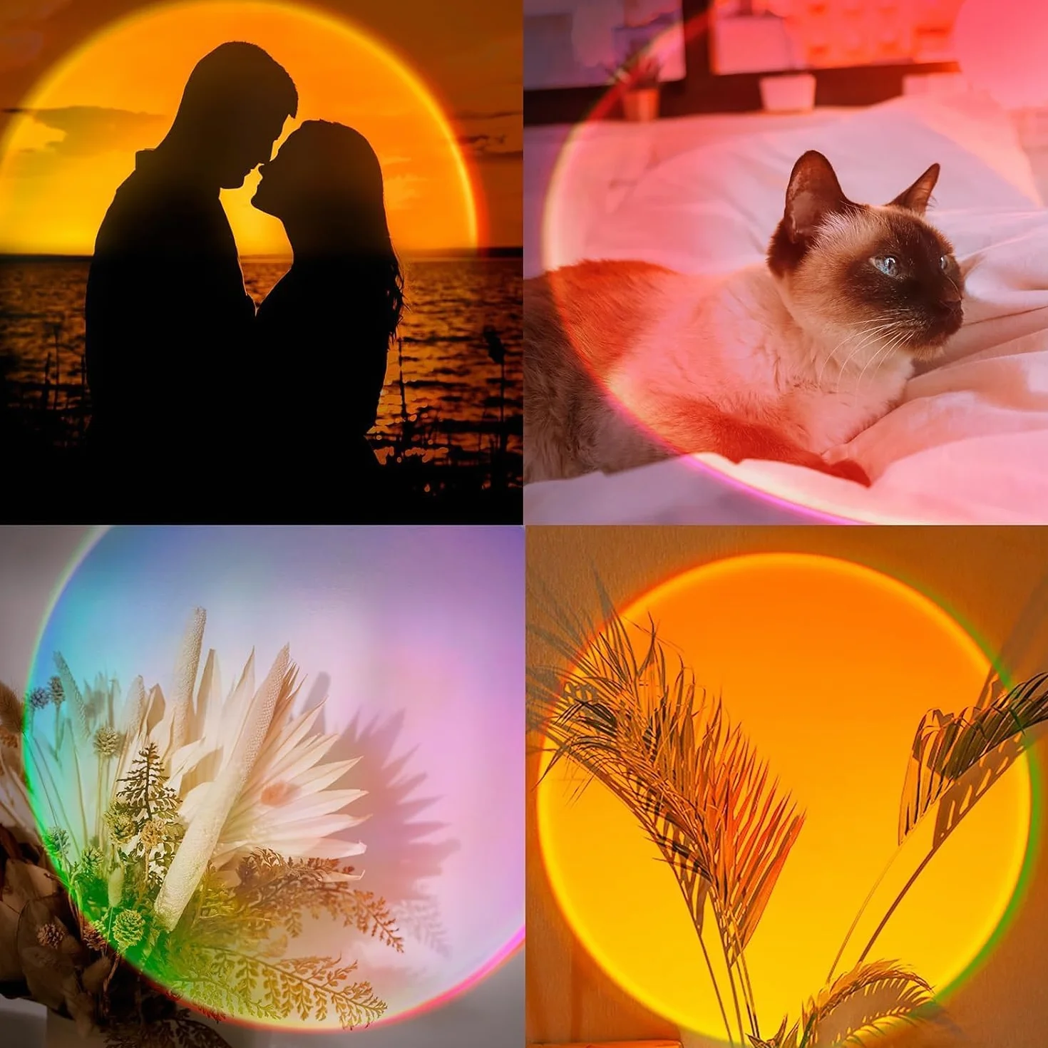Lampe Coucher de Soleil LED Multicolore 360° avec Télécommande et Application