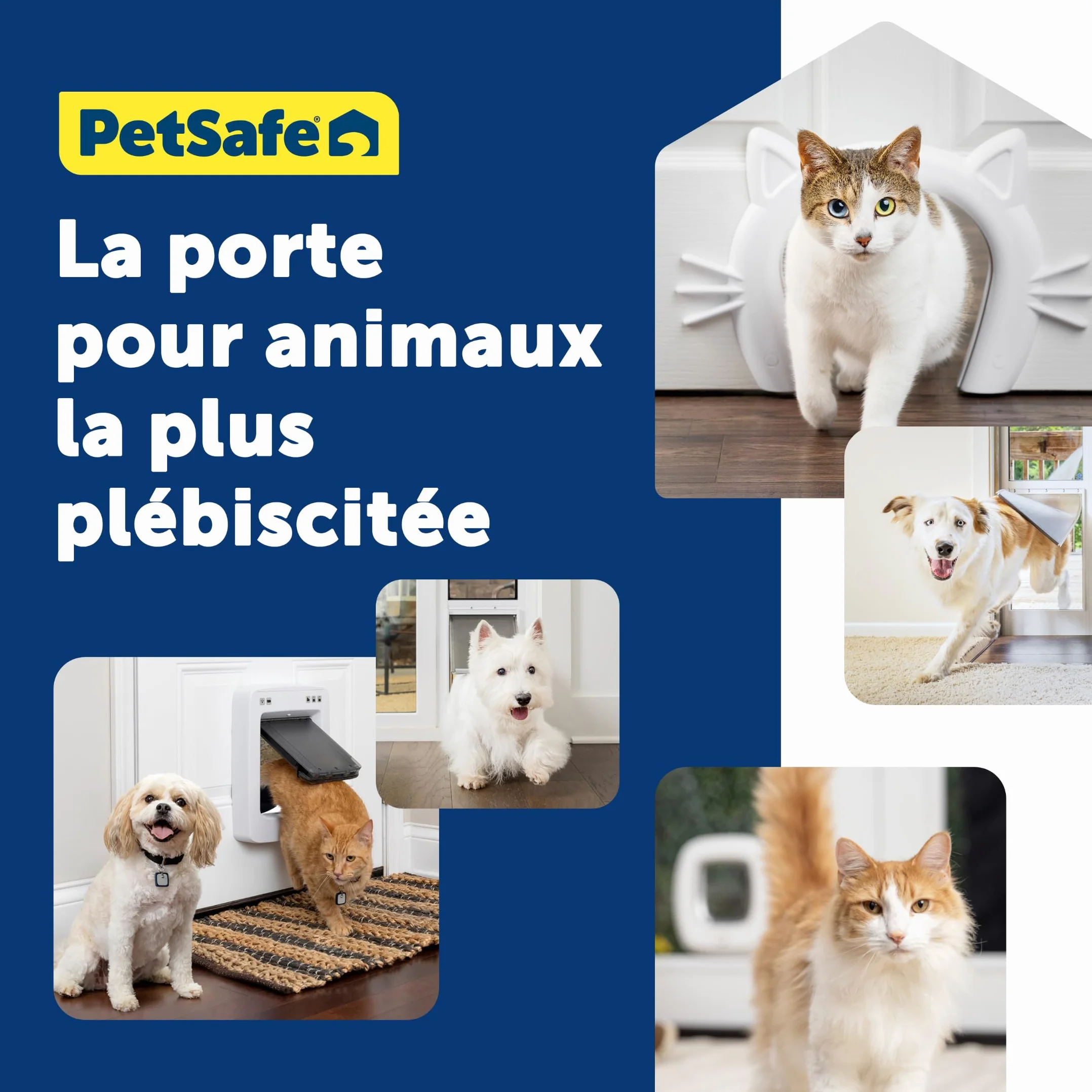PetSafe Chatière Grande Porte pour Animaux Intérieure et Extérieure 4 Options de Fermeture Volet Douce pour Chats et Petits Chiens