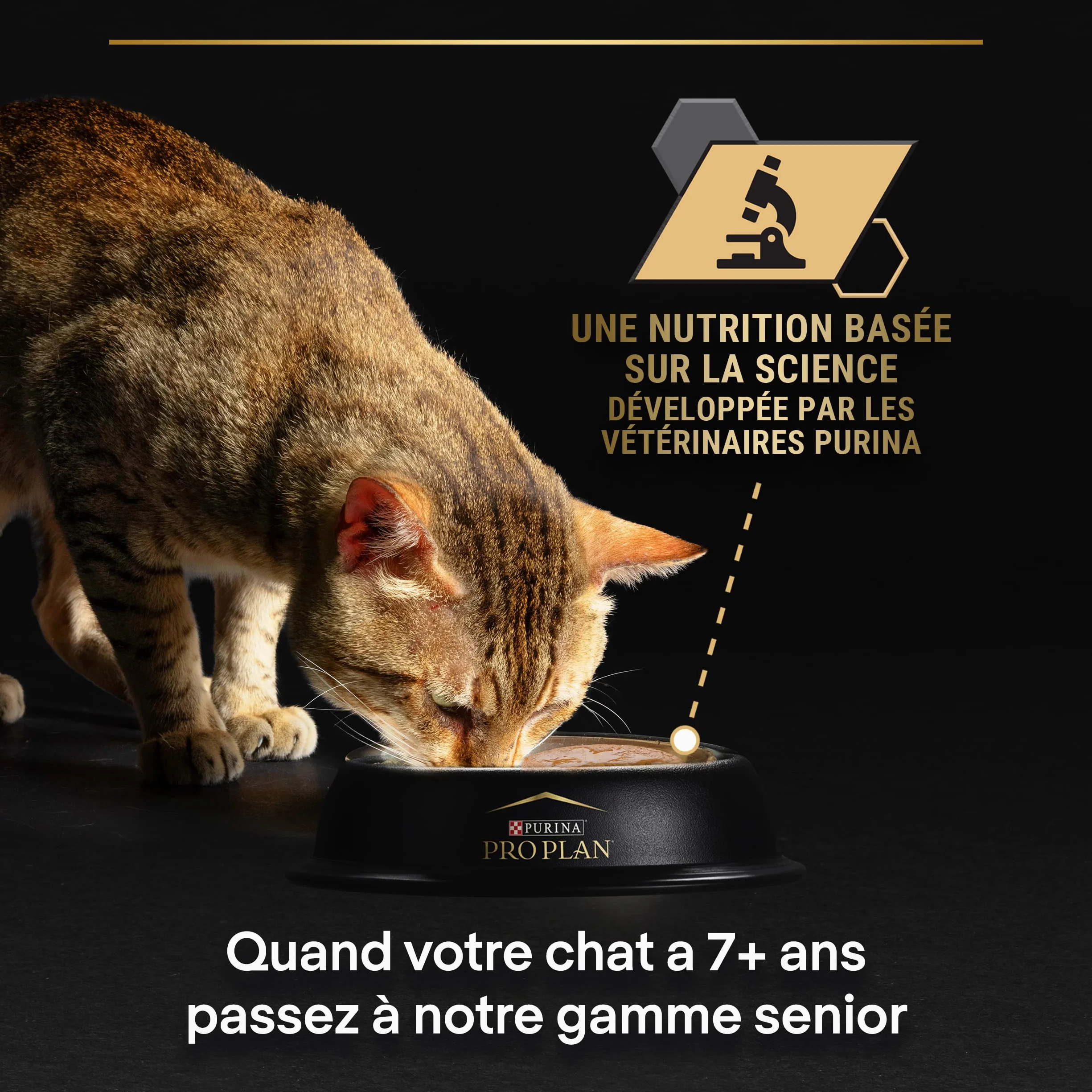 PURINA PRO PLAN Aliment Complet pour Chat Adulte DELICATE DIGESTION Effilés en Sauce à la Dinde 10x85g