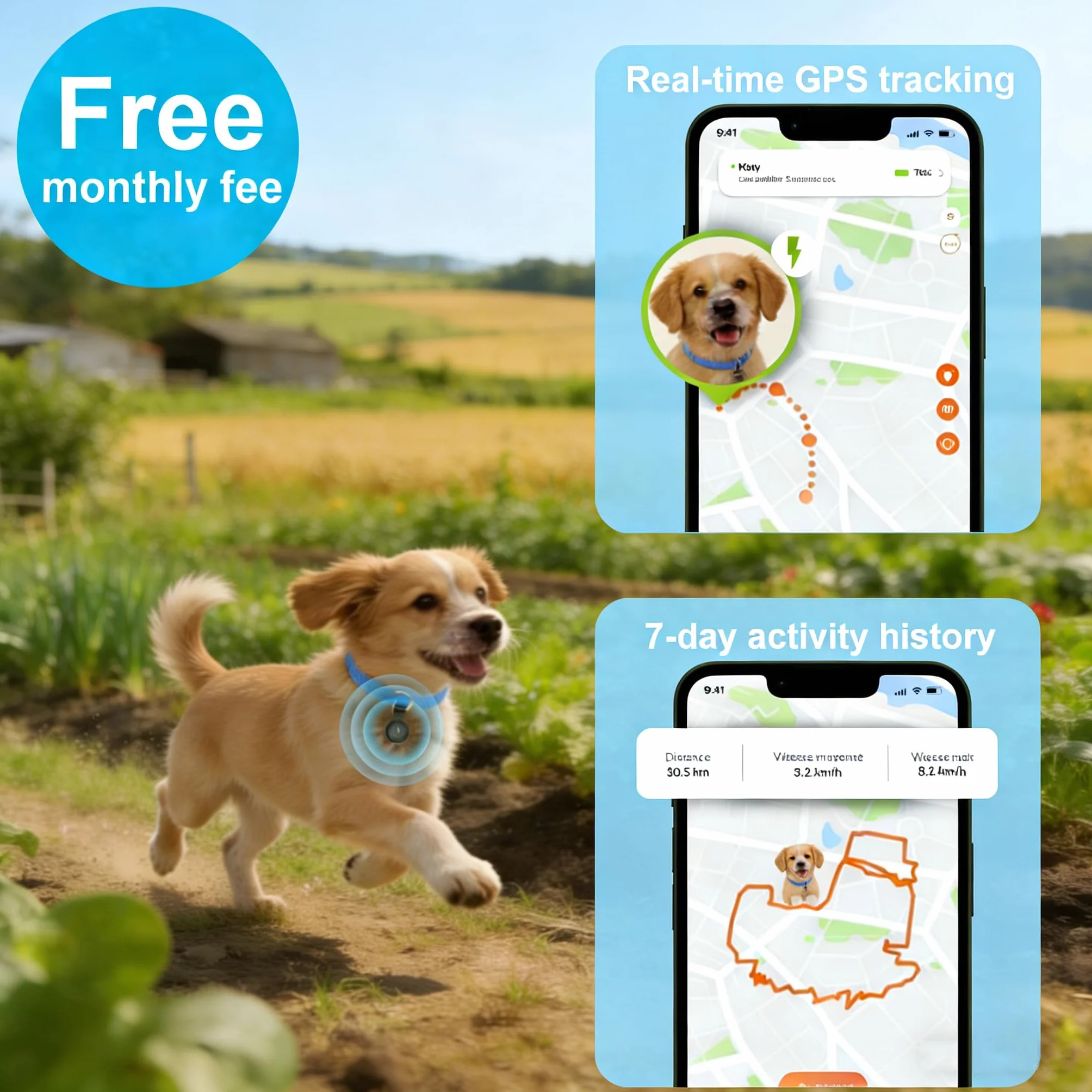 Collier GPS Chat Traceur sans Frais Mensuels Compatible iOS Android Suivi Temps Réel Batterie Longue Durée Étanche Noir