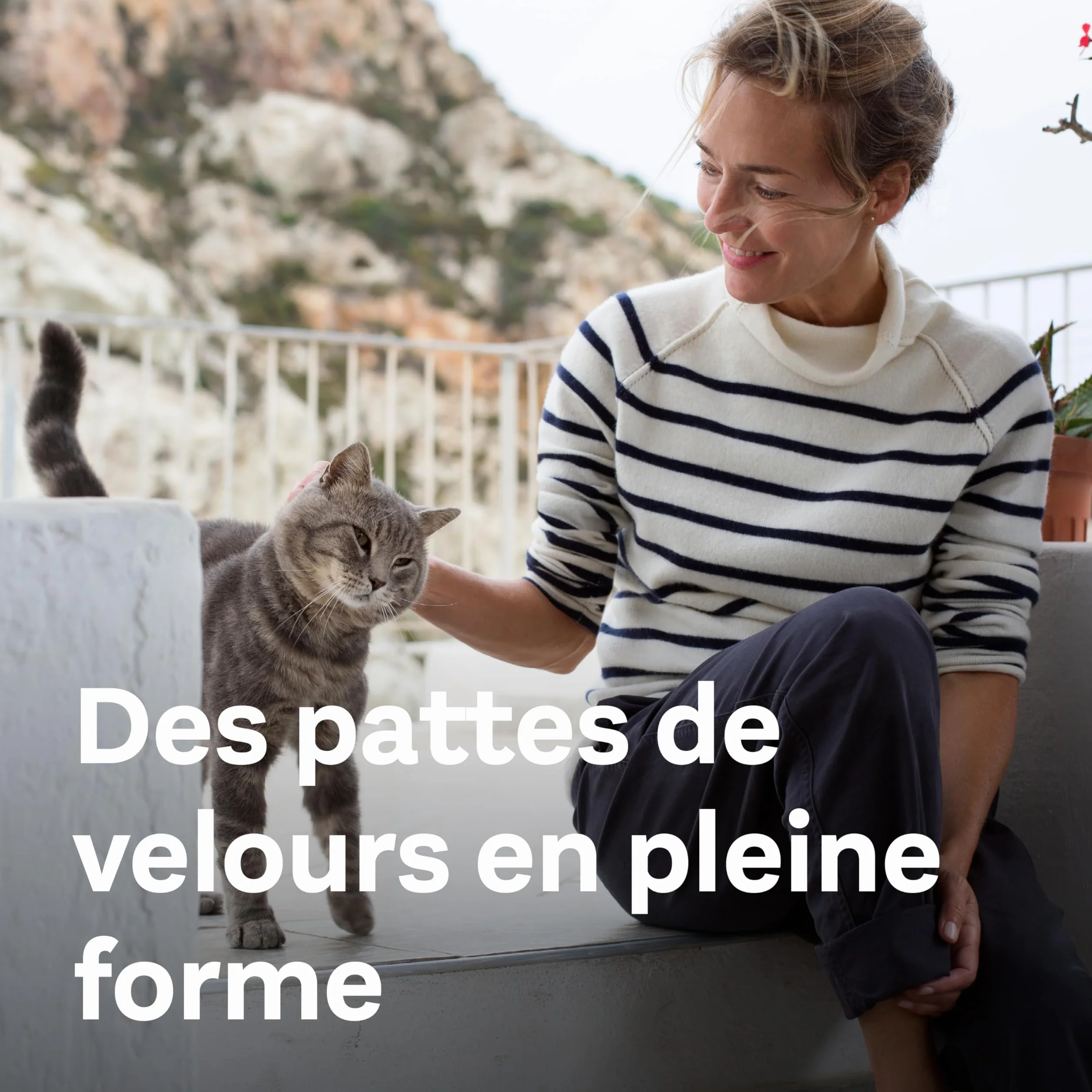 Doppelherz Complexe articulations pour Chats, Soutien du métabolisme, Acides Gras oméga-3, vitamines E et A, 25 Licks